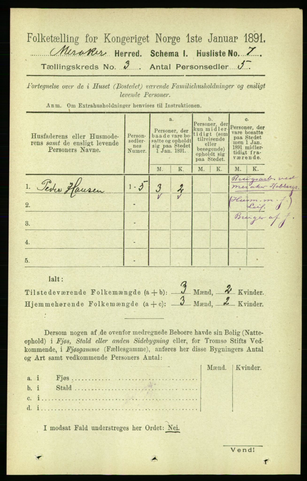 RA, 1891 census for 1711 Meråker, 1891, p. 1069