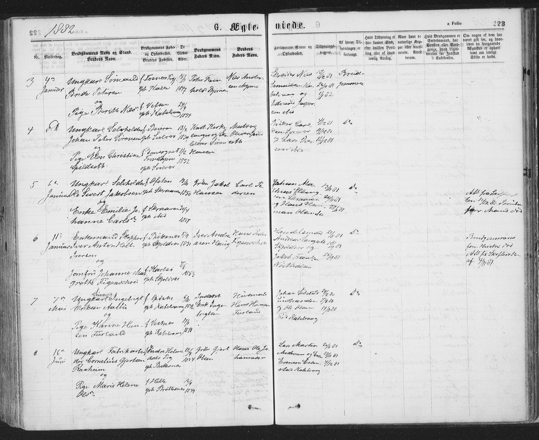 Ministerialprotokoller, klokkerbøker og fødselsregistre - Nordland, AV/SAT-A-1459/874/L1058: Parish register (official) no. 874A02, 1878-1883, p. 223