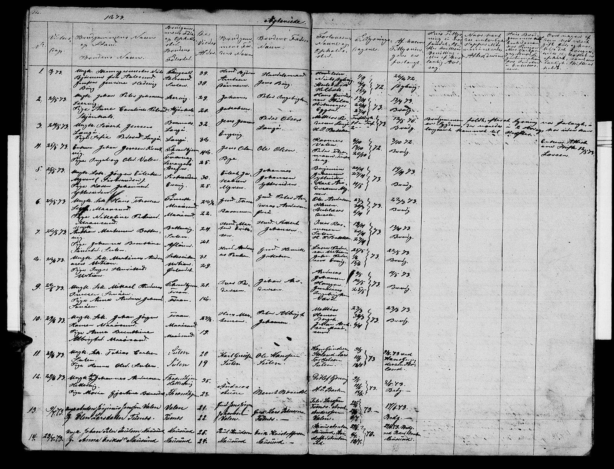 Ministerialprotokoller, klokkerbøker og fødselsregistre - Sør-Trøndelag, SAT/A-1456/640/L0584: Parish register (copy) no. 640C02, 1866-1877, p. 12