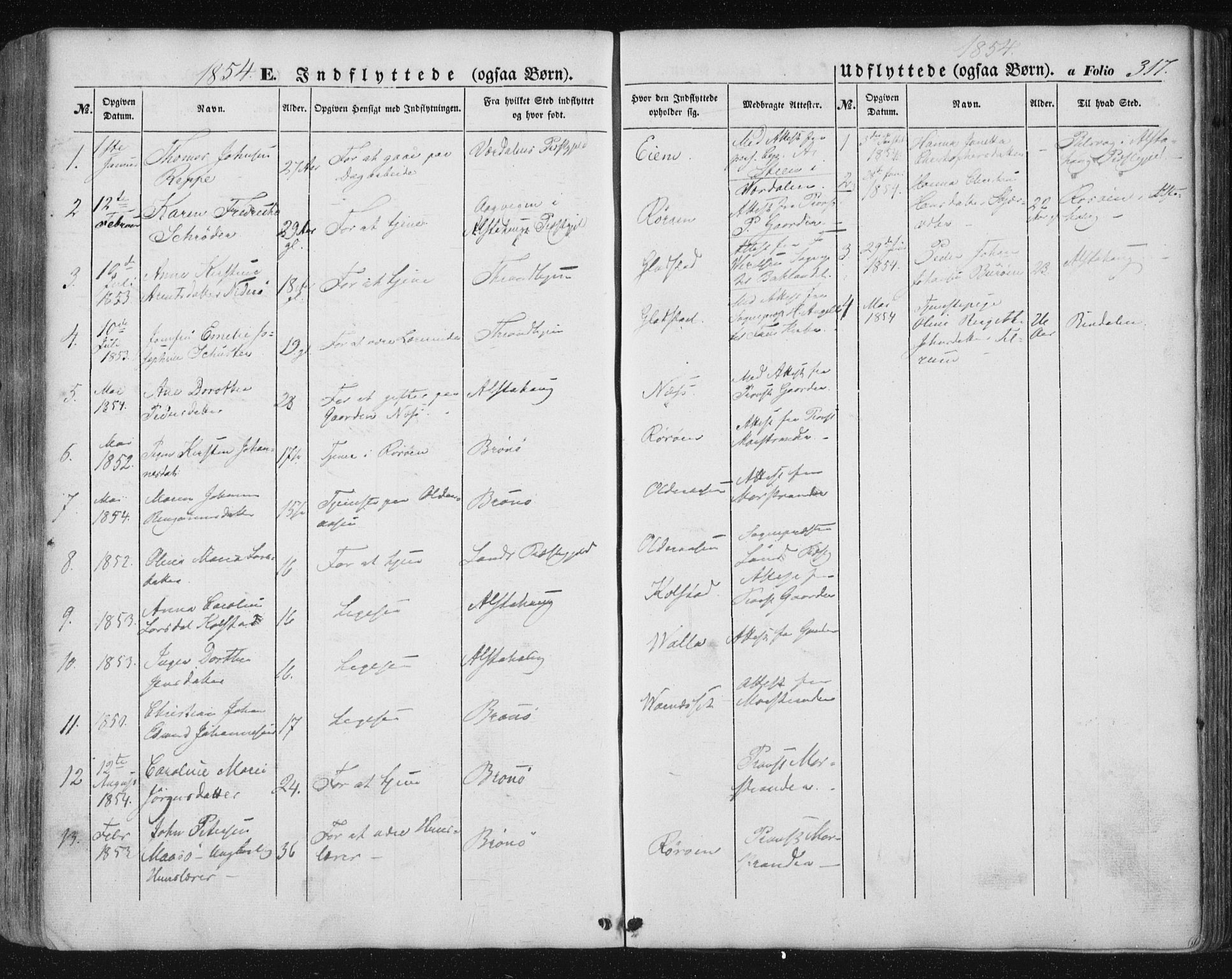 Ministerialprotokoller, klokkerbøker og fødselsregistre - Nordland, SAT/A-1459/816/L0240: Parish register (official) no. 816A06, 1846-1870, p. 317