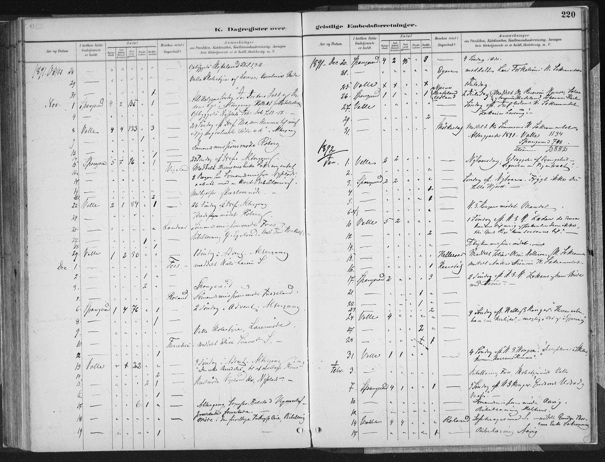 Sør-Audnedal sokneprestkontor, SAK/1111-0039/F/Fa/Faa/L0004: Parish register (official) no. A 4, 1884-1909, p. 220