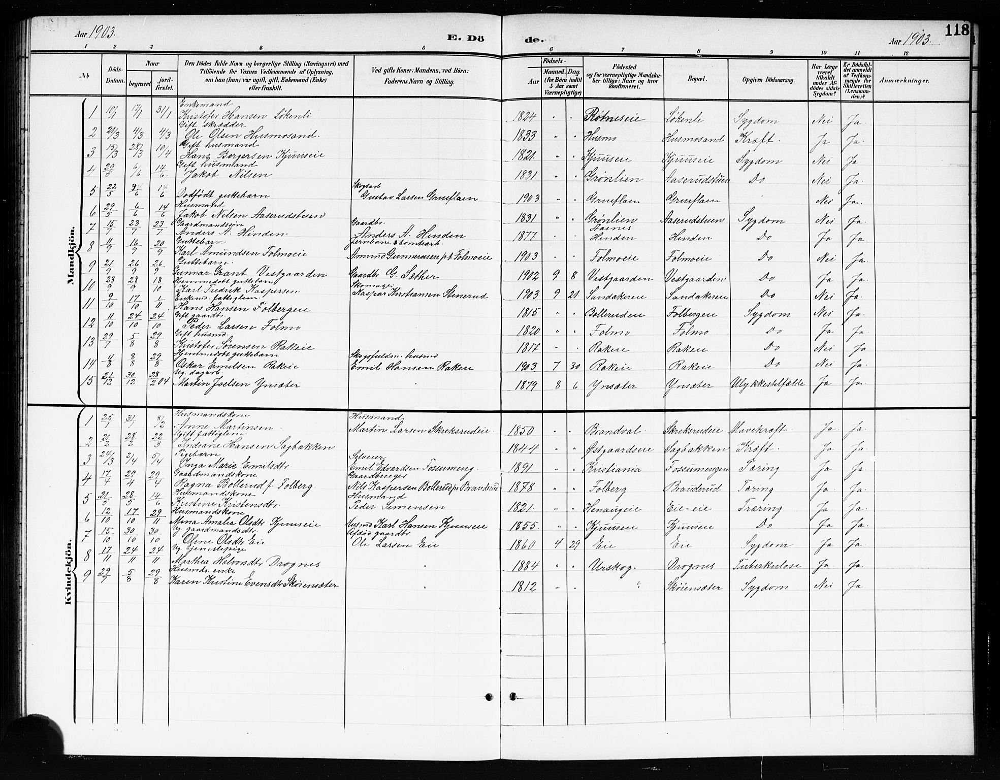 Nes prestekontor Kirkebøker, AV/SAO-A-10410/G/Gc/L0001: Parish register (copy) no. III 1, 1901-1917, p. 118