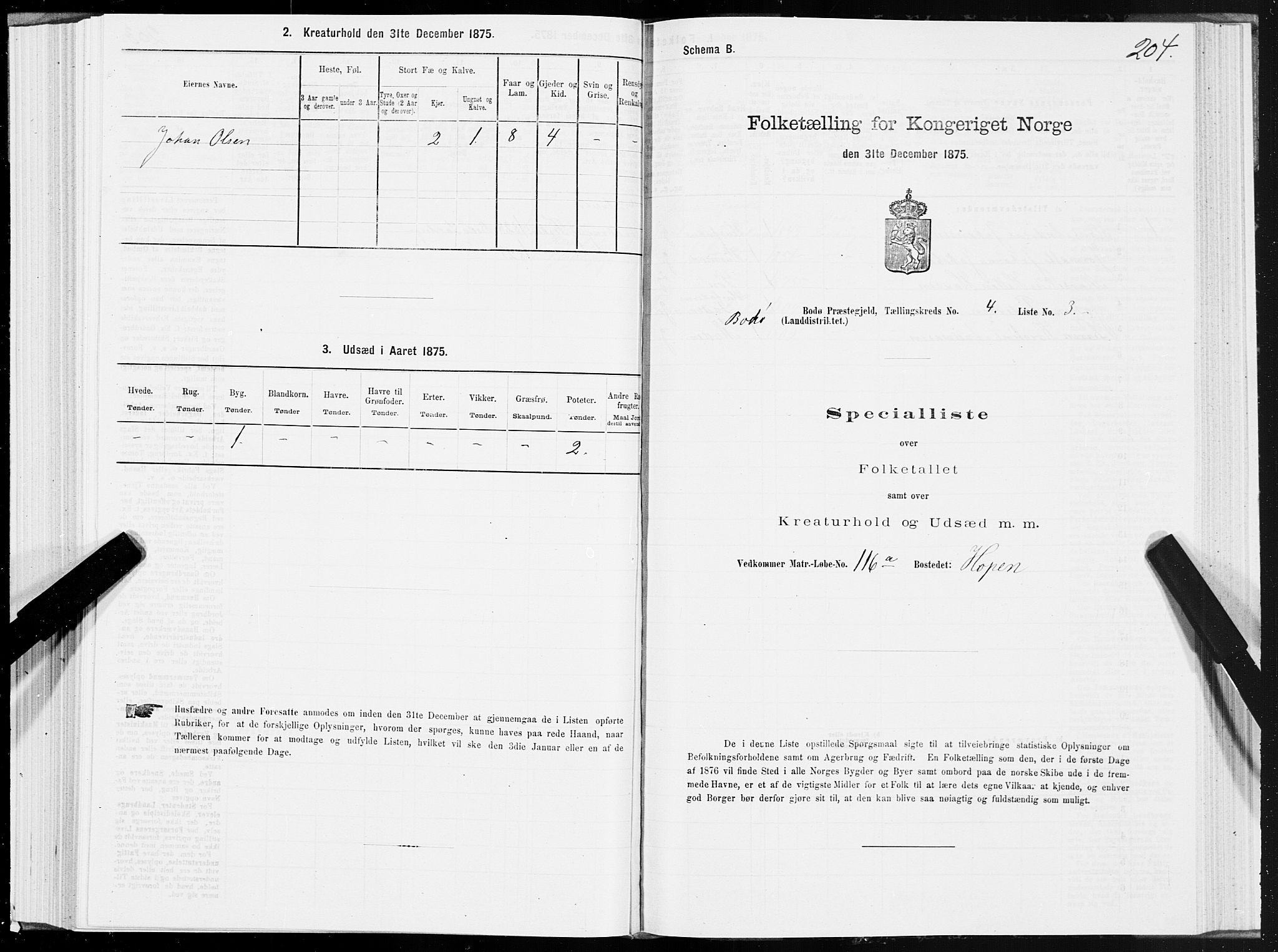 SAT, 1875 census for 1843L Bodø/Bodø, 1875, p. 2204