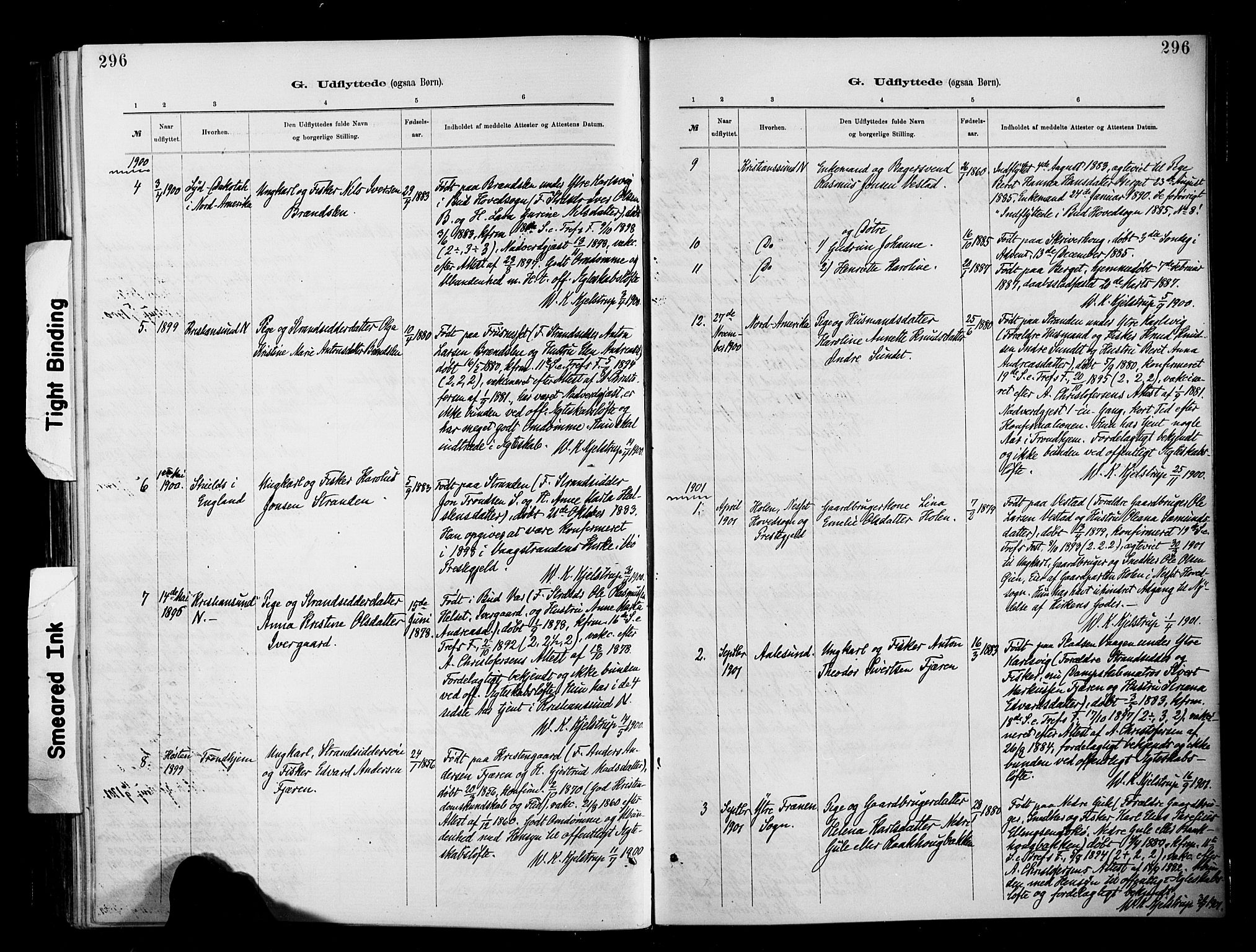 Ministerialprotokoller, klokkerbøker og fødselsregistre - Møre og Romsdal, SAT/A-1454/566/L0769: Parish register (official) no. 566A08, 1881-1903, p. 296