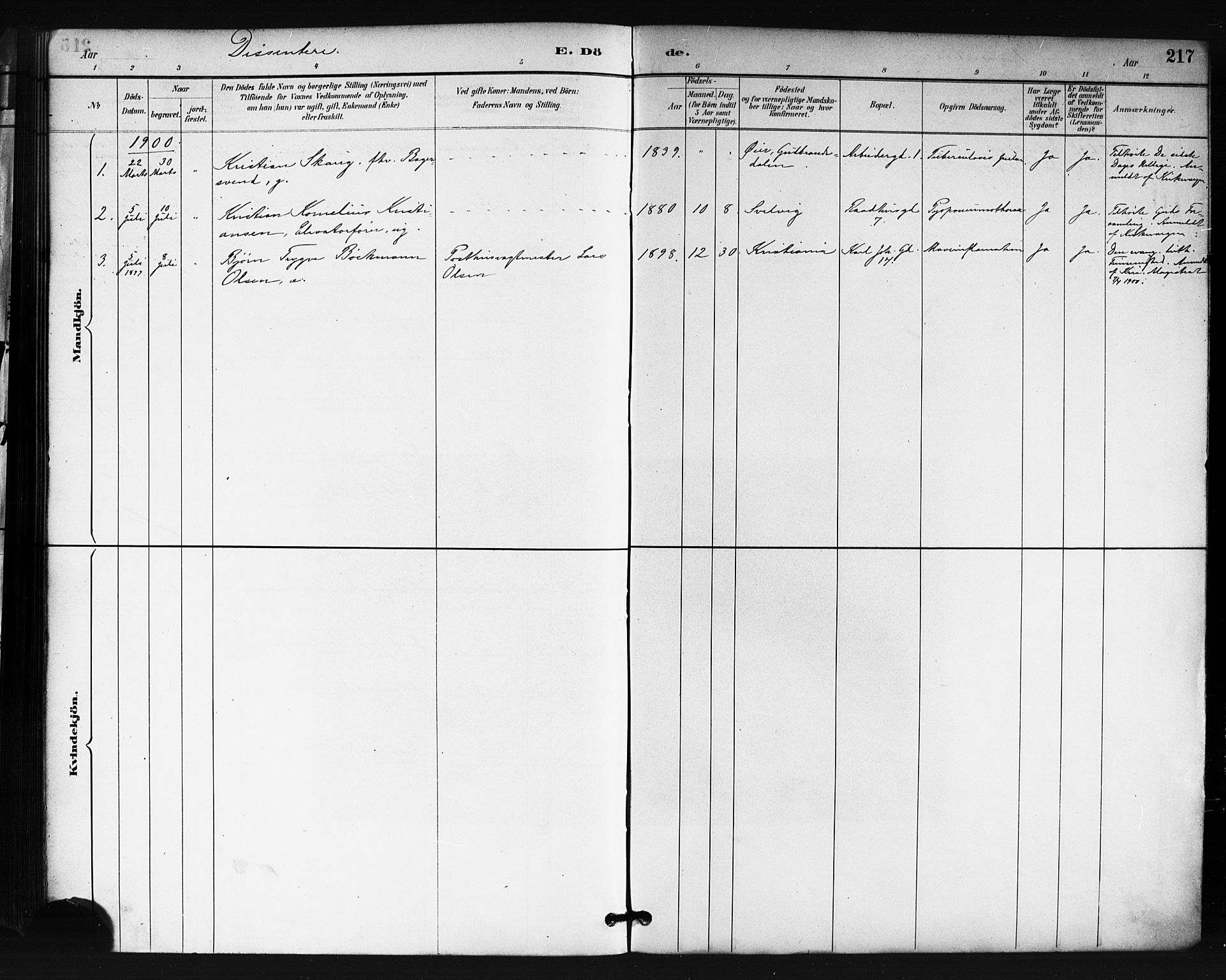 Oslo domkirke Kirkebøker, SAO/A-10752/F/Fa/L0035: Parish register (official) no. 35, 1885-1901, p. 217