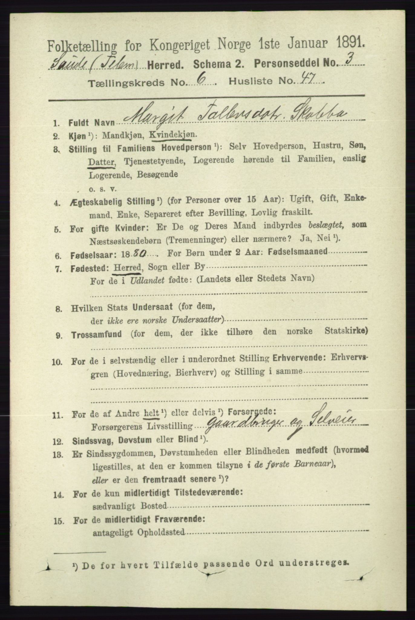 RA, 1891 census for 0822 Sauherad, 1891, p. 1956