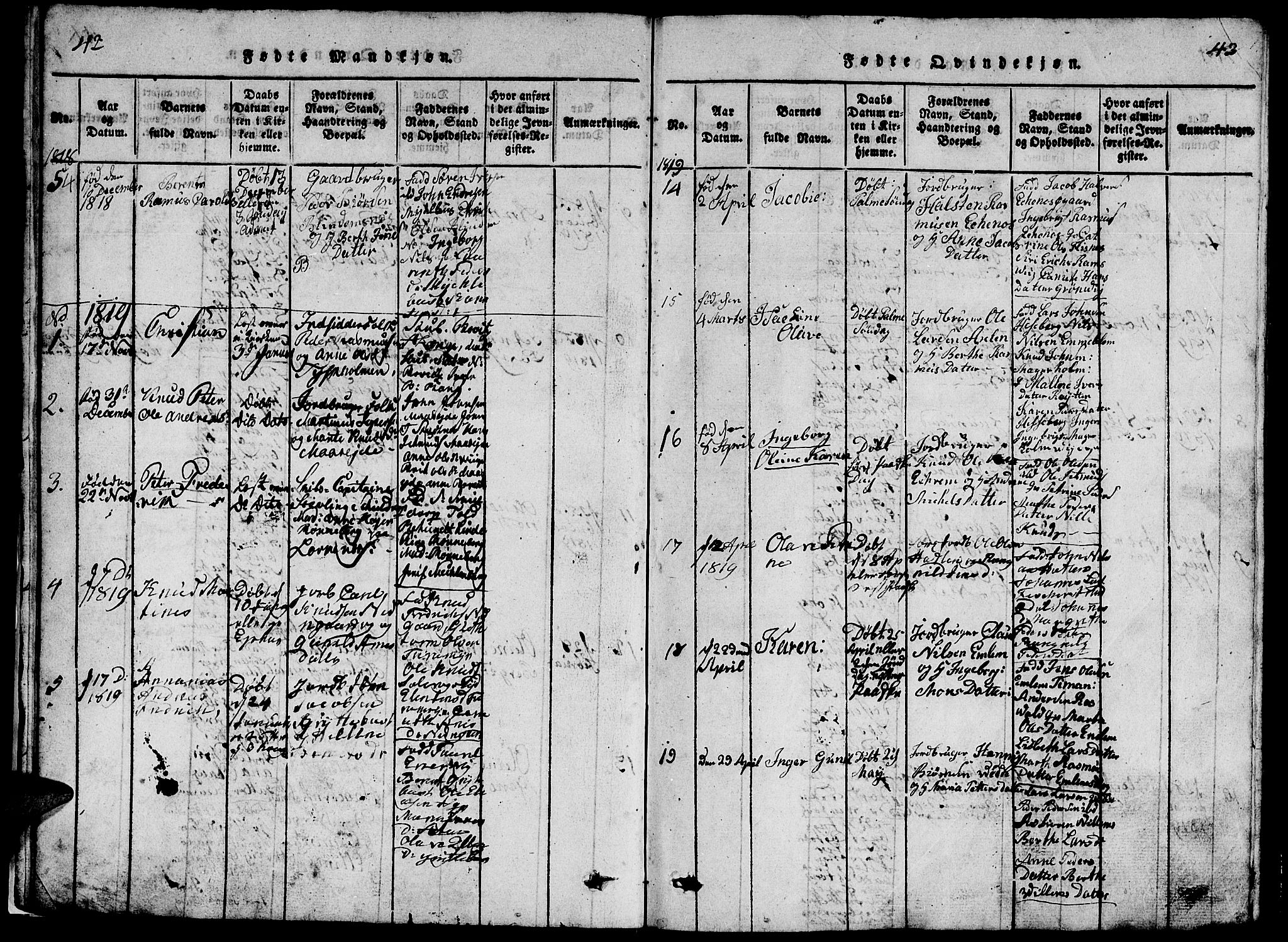 Ministerialprotokoller, klokkerbøker og fødselsregistre - Møre og Romsdal, AV/SAT-A-1454/528/L0423: Parish register (copy) no. 528C04, 1816-1827, p. 42-43