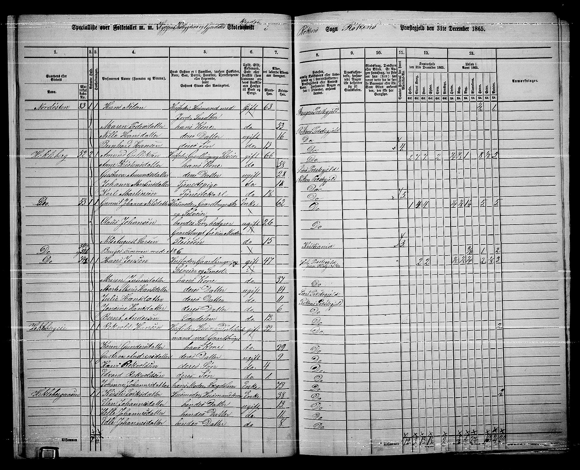 RA, 1865 census for Røyken, 1865, p. 17