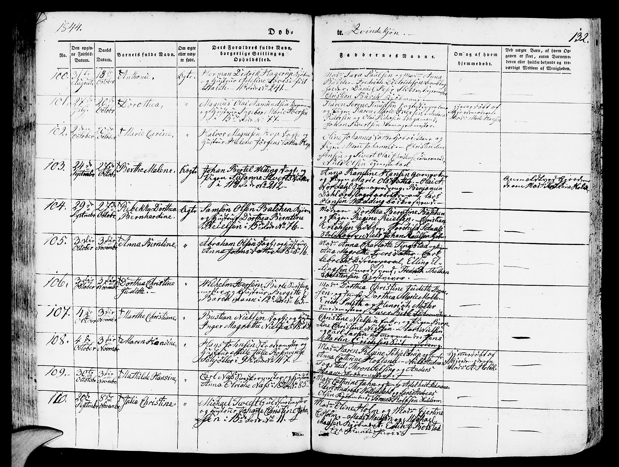 Domkirken sokneprestembete, SAB/A-74801/H/Hab/L0009: Parish register (copy) no. B 2, 1842-1849, p. 132