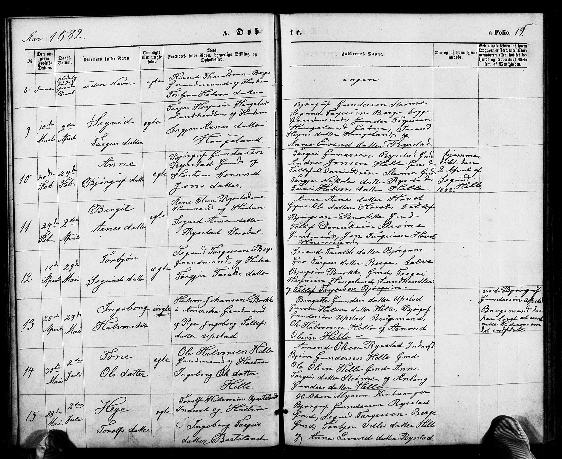 Valle sokneprestkontor, SAK/1111-0044/F/Fb/Fbb/L0002: Parish register (copy) no. B 2, 1875-1921, p. 19