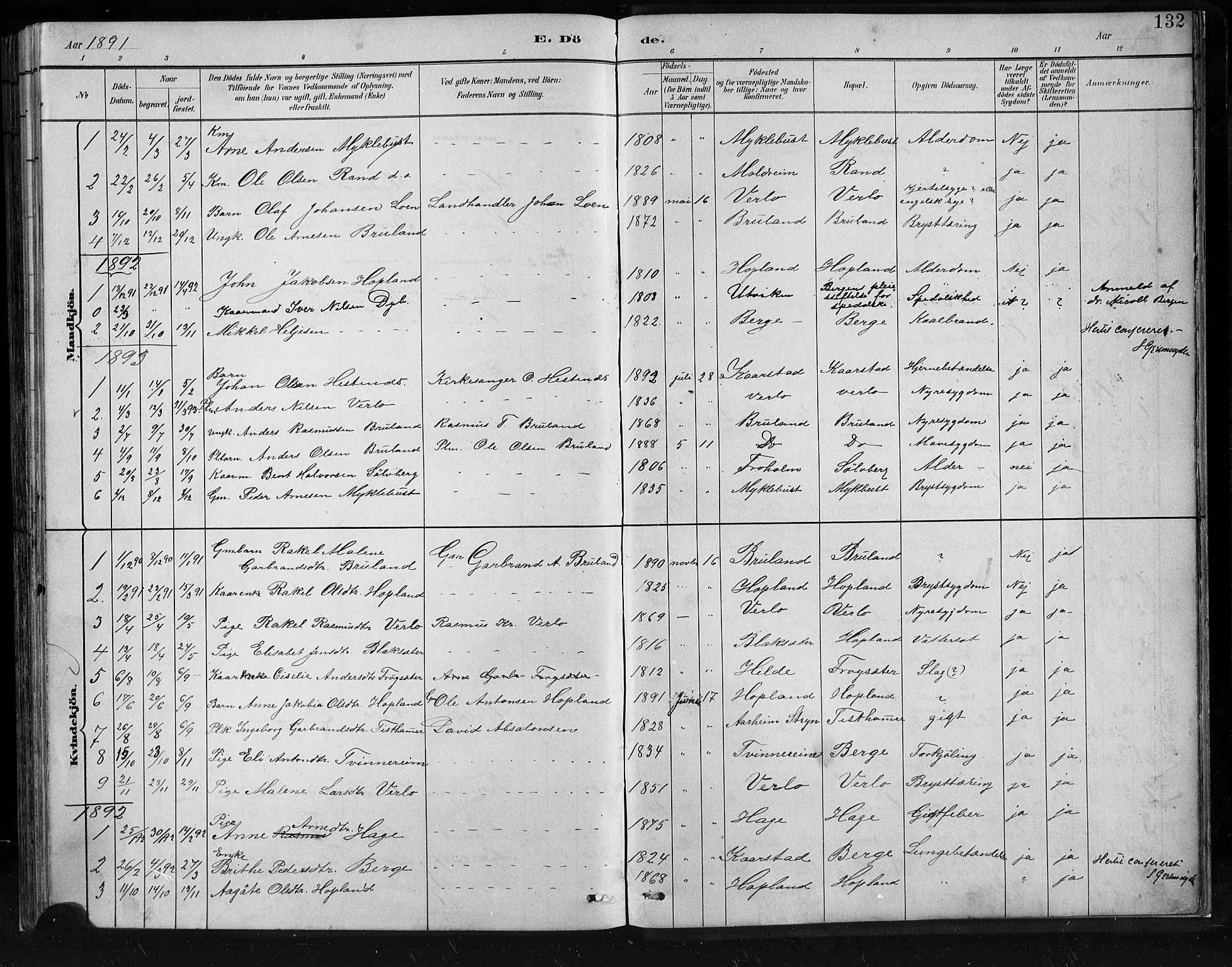 Innvik sokneprestembete, SAB/A-80501: Parish register (copy) no. C 3, 1883-1911, p. 132