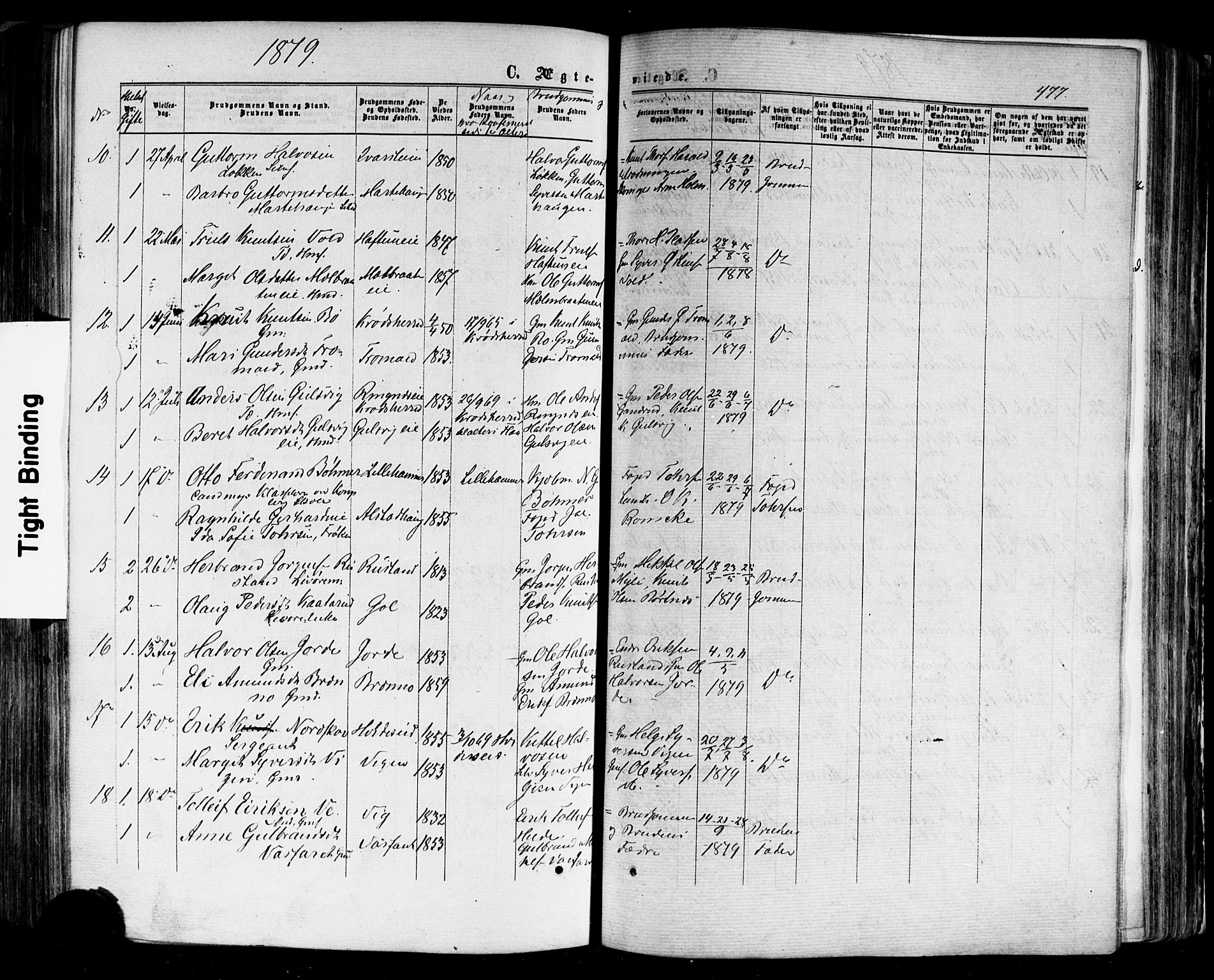 Nes kirkebøker, SAKO/A-236/F/Fa/L0010: Parish register (official) no. 10, 1864-1880, p. 477