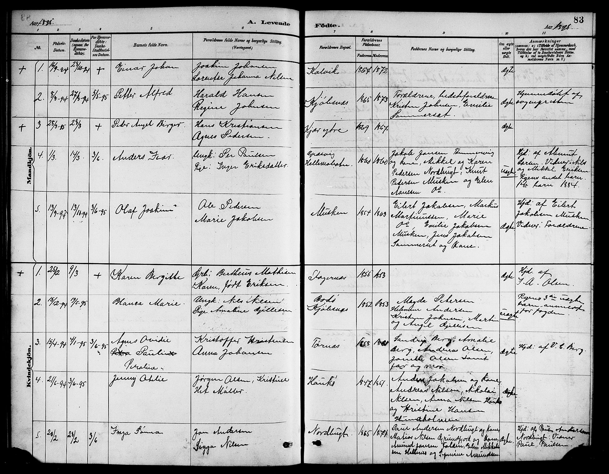 Ministerialprotokoller, klokkerbøker og fødselsregistre - Nordland, AV/SAT-A-1459/861/L0876: Parish register (copy) no. 861C02, 1887-1903, p. 83