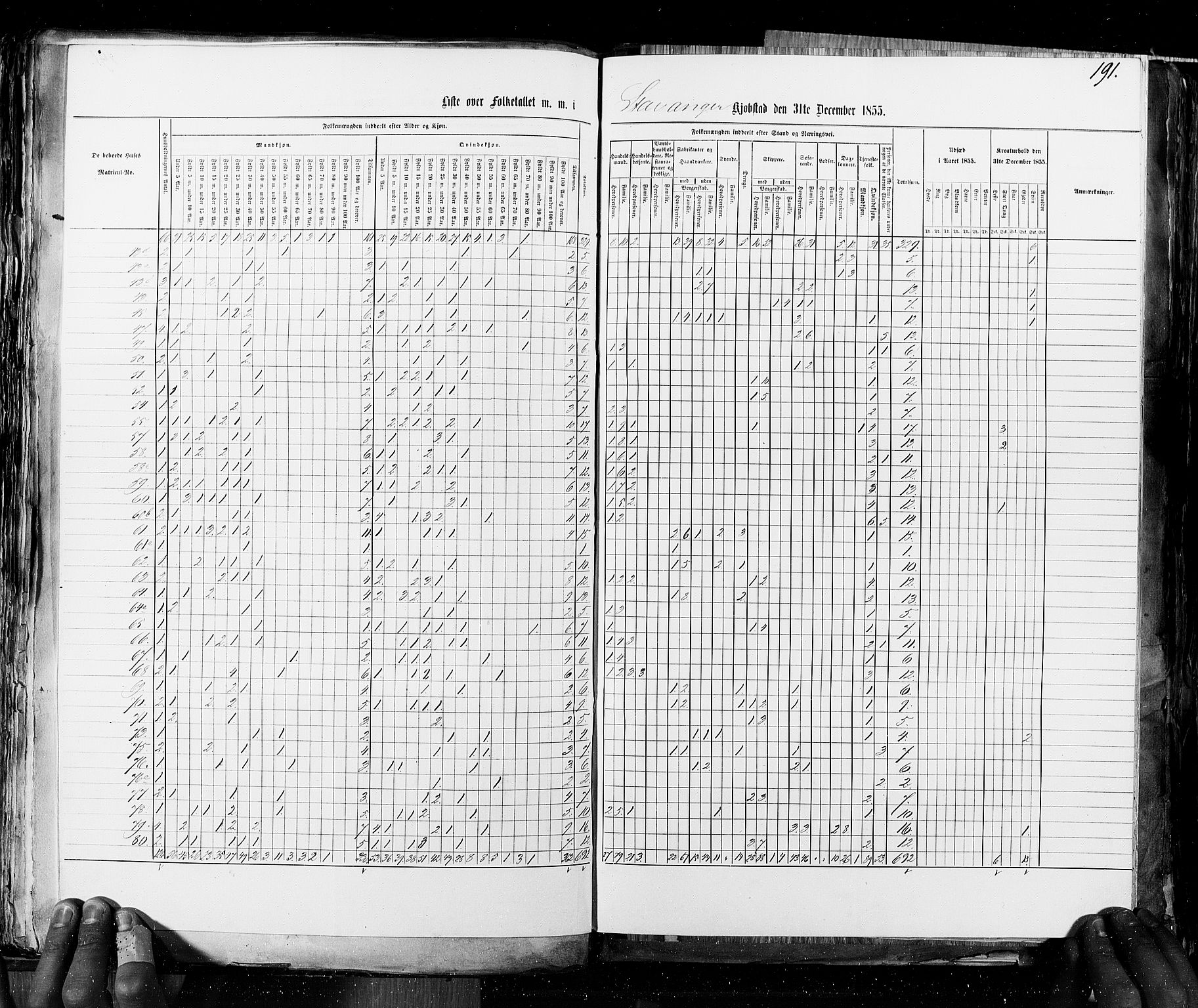 RA, Census 1855, vol. 8: Risør-Vadsø, 1855, p. 191