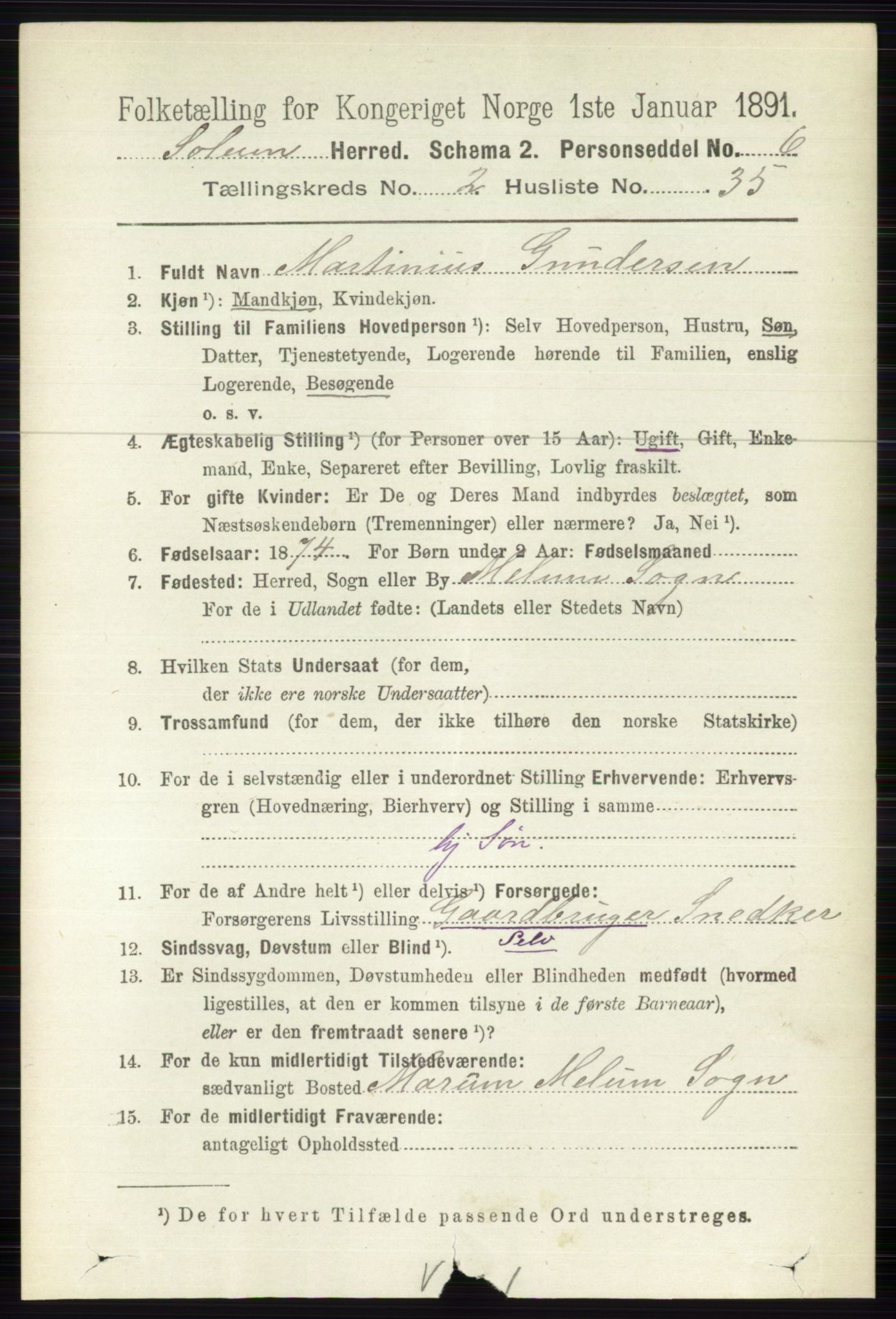 RA, 1891 census for 0818 Solum, 1891, p. 294