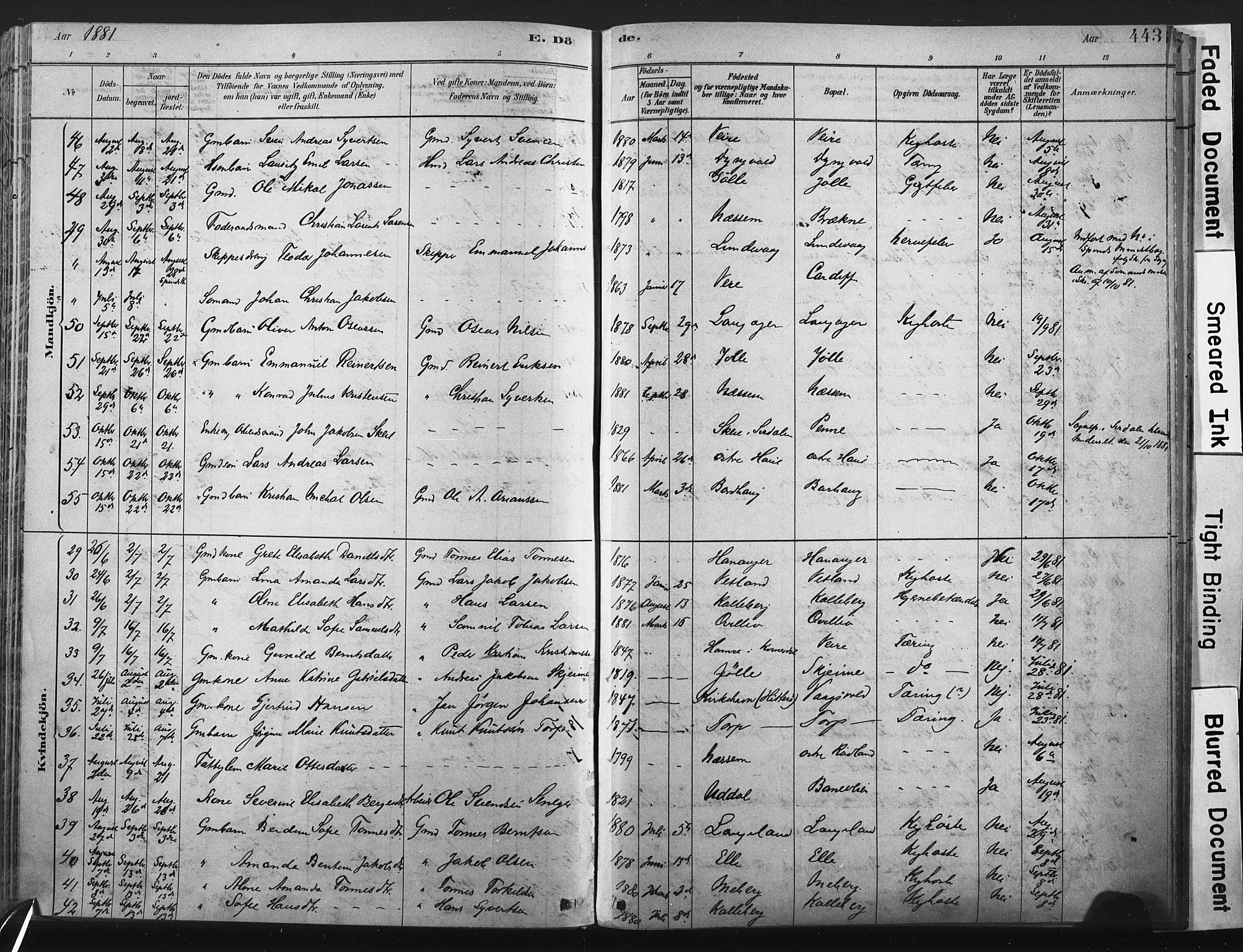 Lista sokneprestkontor, AV/SAK-1111-0027/F/Fa/L0012: Parish register (official) no. A 12, 1879-1903, p. 443