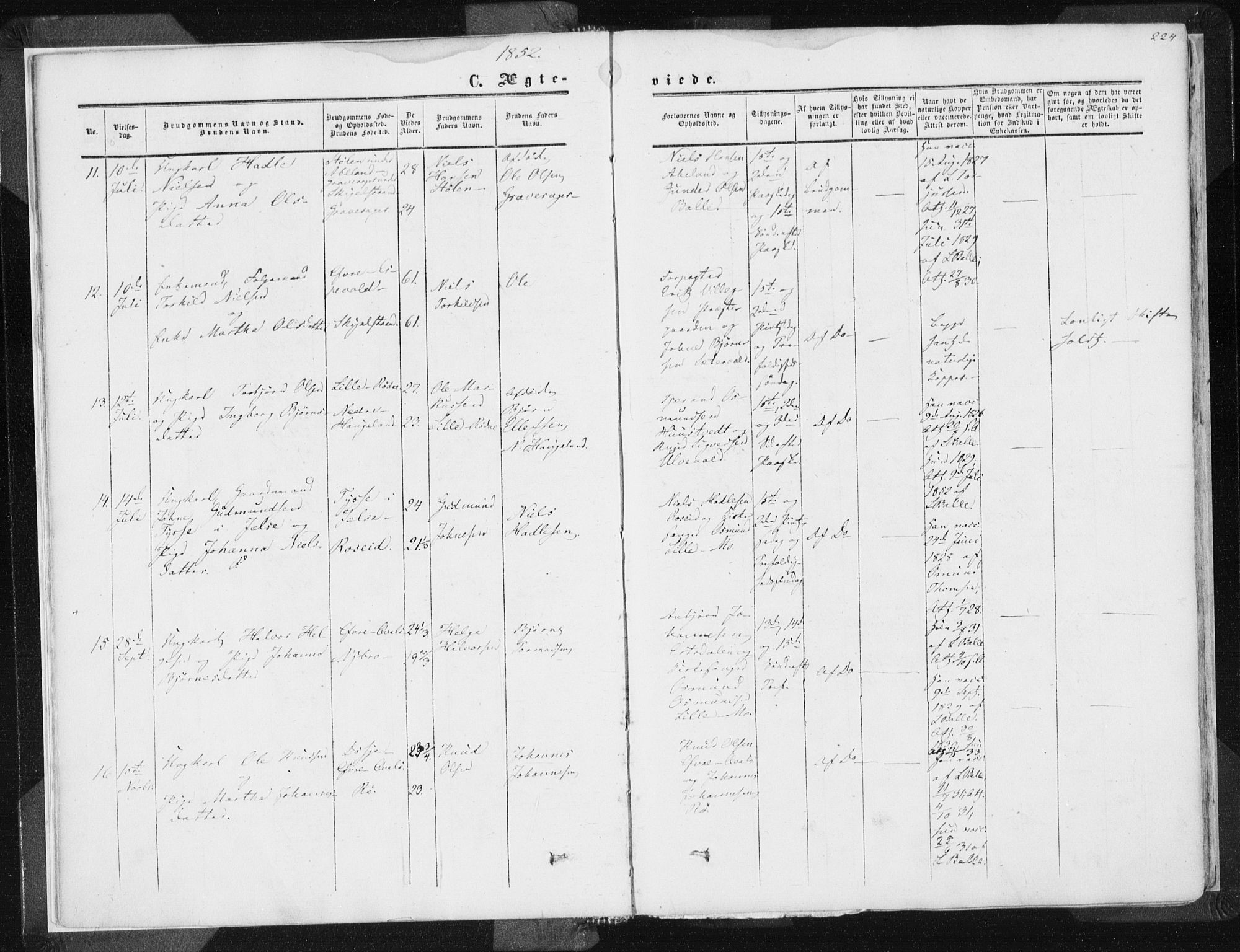 Vikedal sokneprestkontor, AV/SAST-A-101840/01/IV: Parish register (official) no. A 6.2, 1851-1867, p. 224