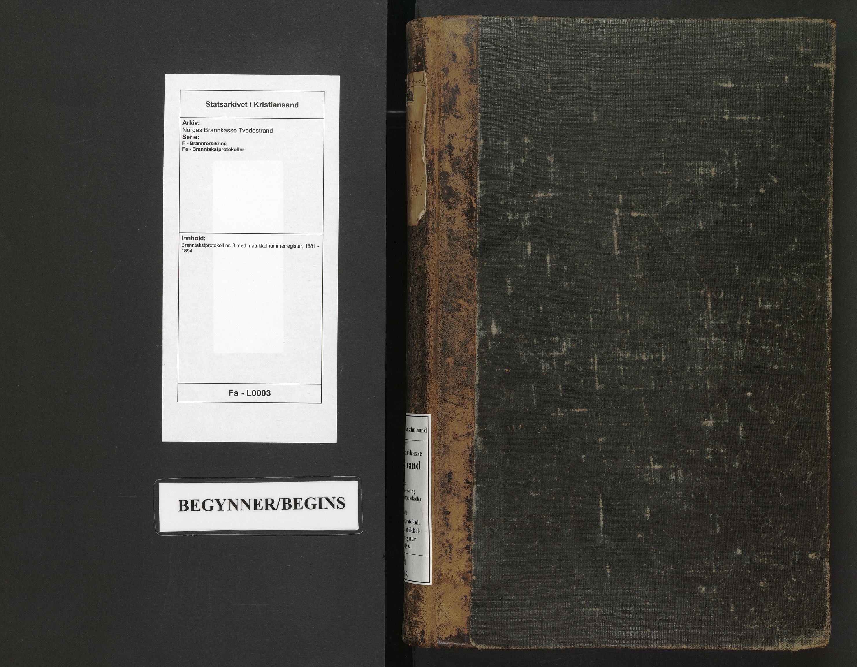 Norges Brannkasse Tvedestrand, AV/SAK-2241-0050/F/Fa/L0003: Branntakstprotokoll nr. 3 med matrikkelnummerregister, 1881-1894