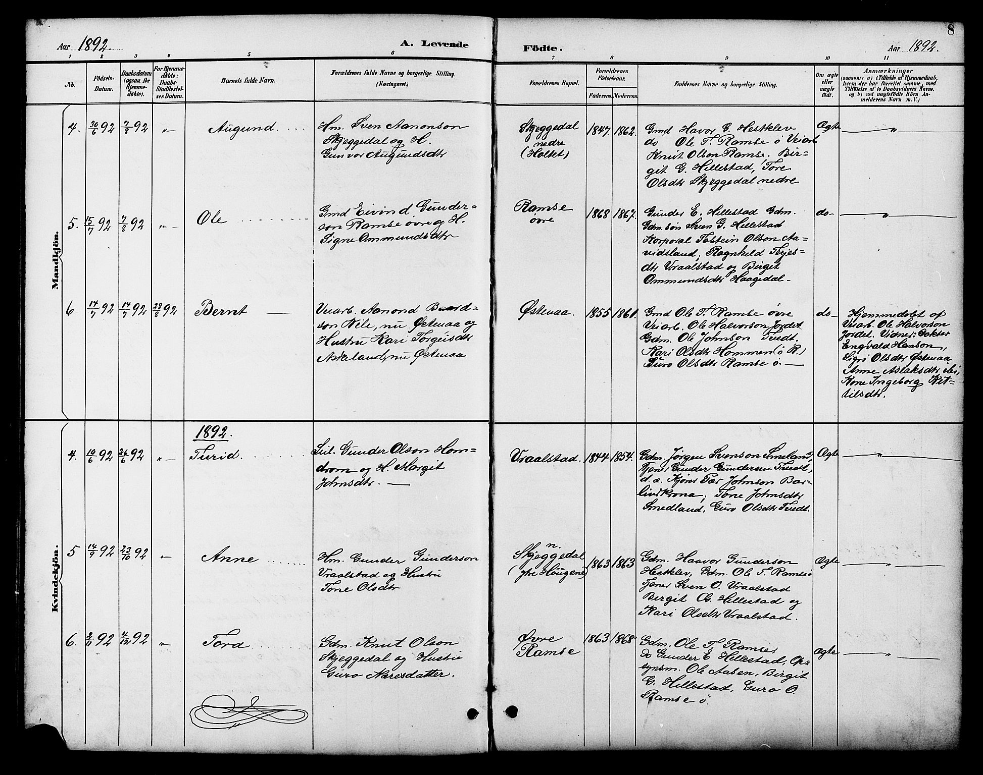 Åmli sokneprestkontor, SAK/1111-0050/F/Fb/Fbb/L0002: Parish register (copy) no. B 2, 1890-1905, p. 8