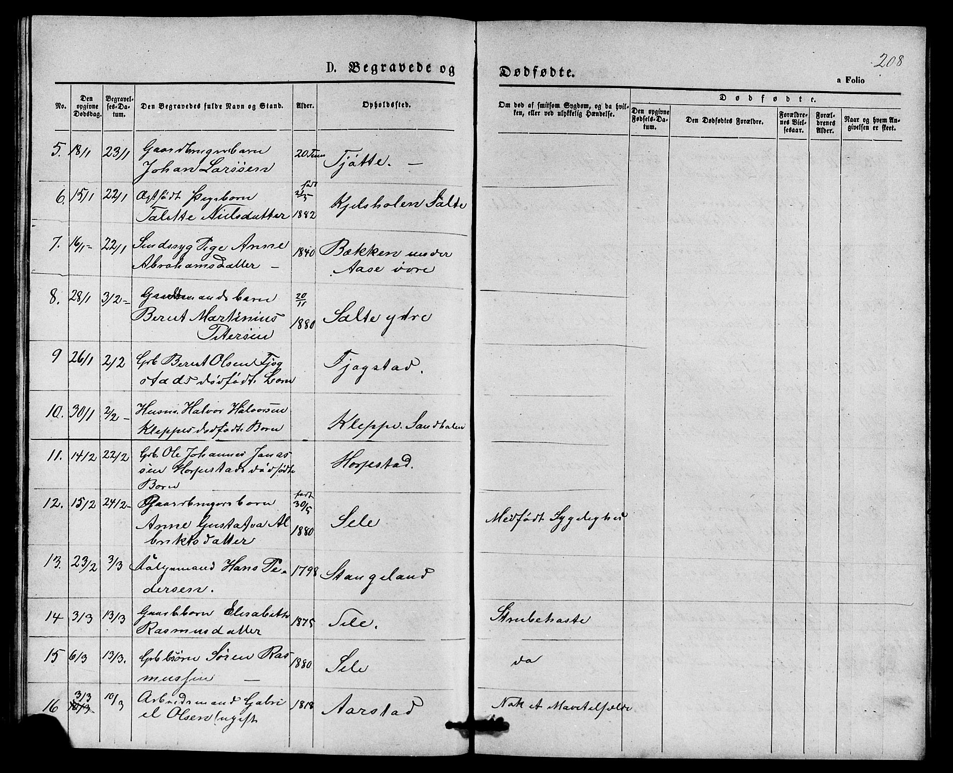 Klepp sokneprestkontor, AV/SAST-A-101803/001/3/30BB/L0003: Parish register (copy) no. B 3, 1876-1888, p. 208