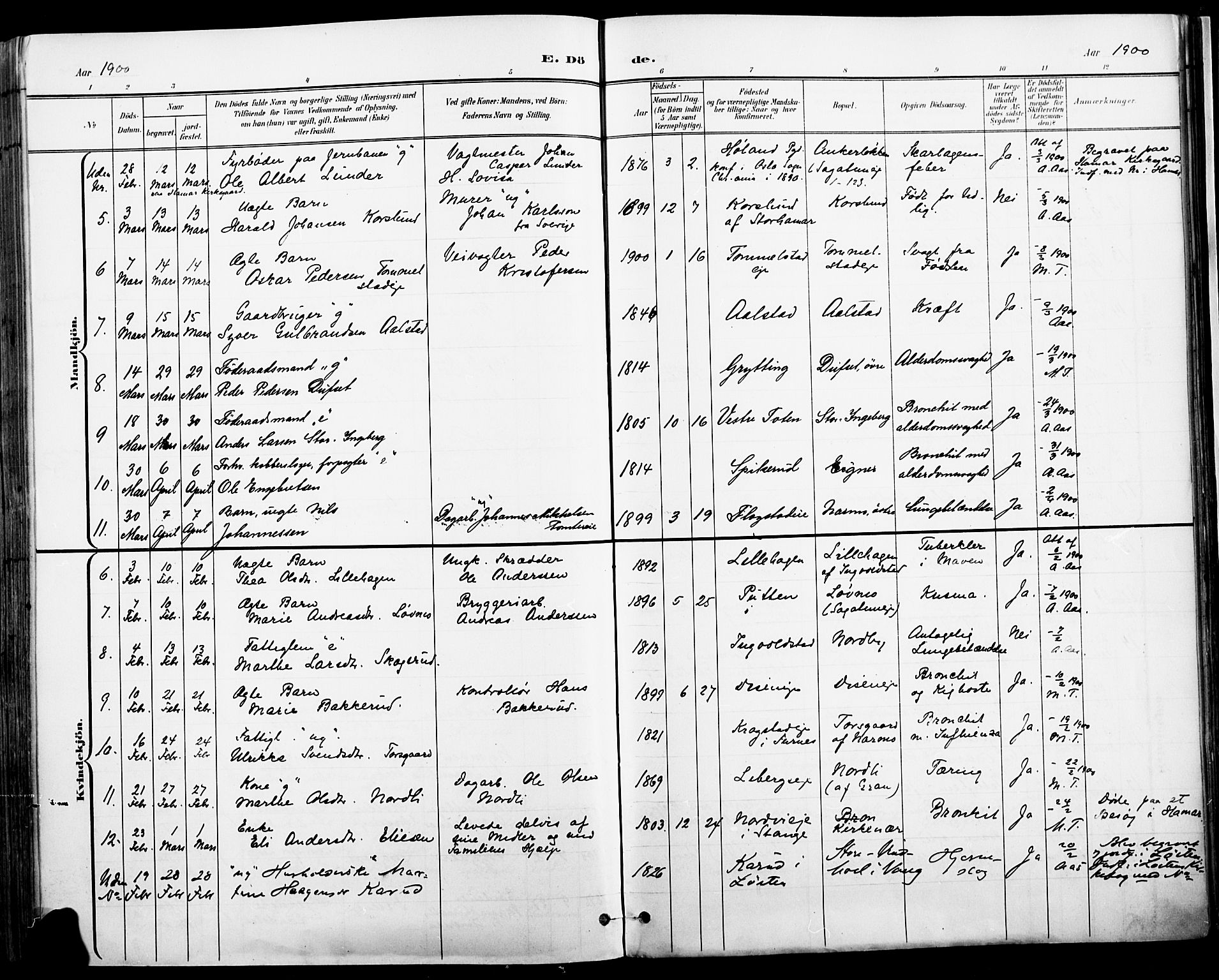 Vang prestekontor, Hedmark, AV/SAH-PREST-008/H/Ha/Haa/L0019A: Parish register (official) no. 19, 1886-1900