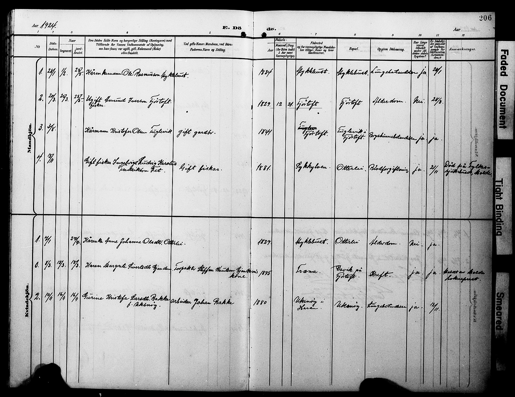 Ministerialprotokoller, klokkerbøker og fødselsregistre - Møre og Romsdal, AV/SAT-A-1454/538/L0524: Parish register (copy) no. 538C02, 1901-1931, p. 206