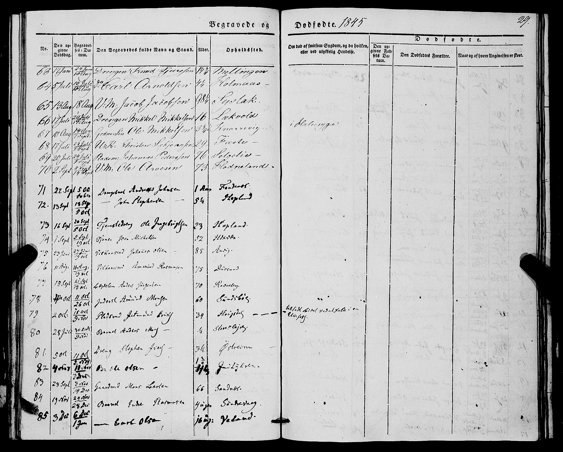Lindås Sokneprestembete, SAB/A-76701/H/Haa: Parish register (official) no. A 14, 1835-1847, p. 29