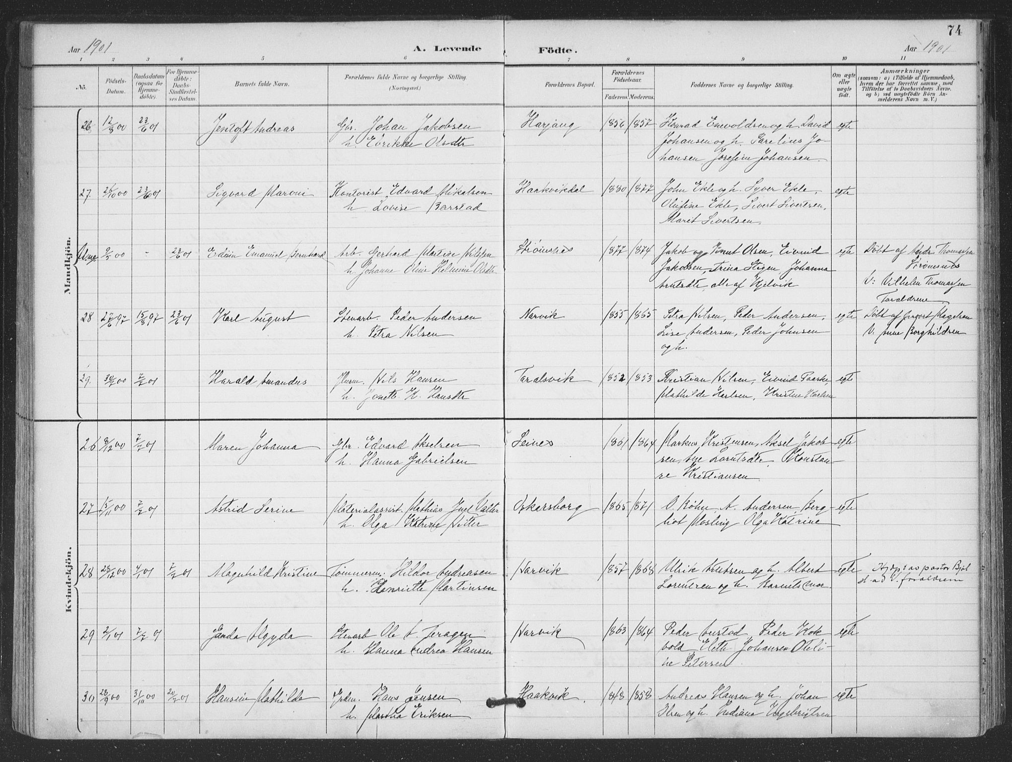 Ministerialprotokoller, klokkerbøker og fødselsregistre - Nordland, AV/SAT-A-1459/866/L0939: Parish register (official) no. 866A02, 1894-1906, p. 74