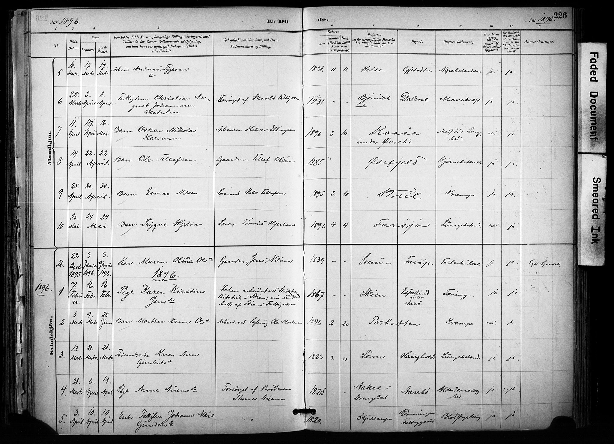 Sannidal kirkebøker, SAKO/A-296/F/Fa/L0015: Parish register (official) no. 15, 1884-1899, p. 226