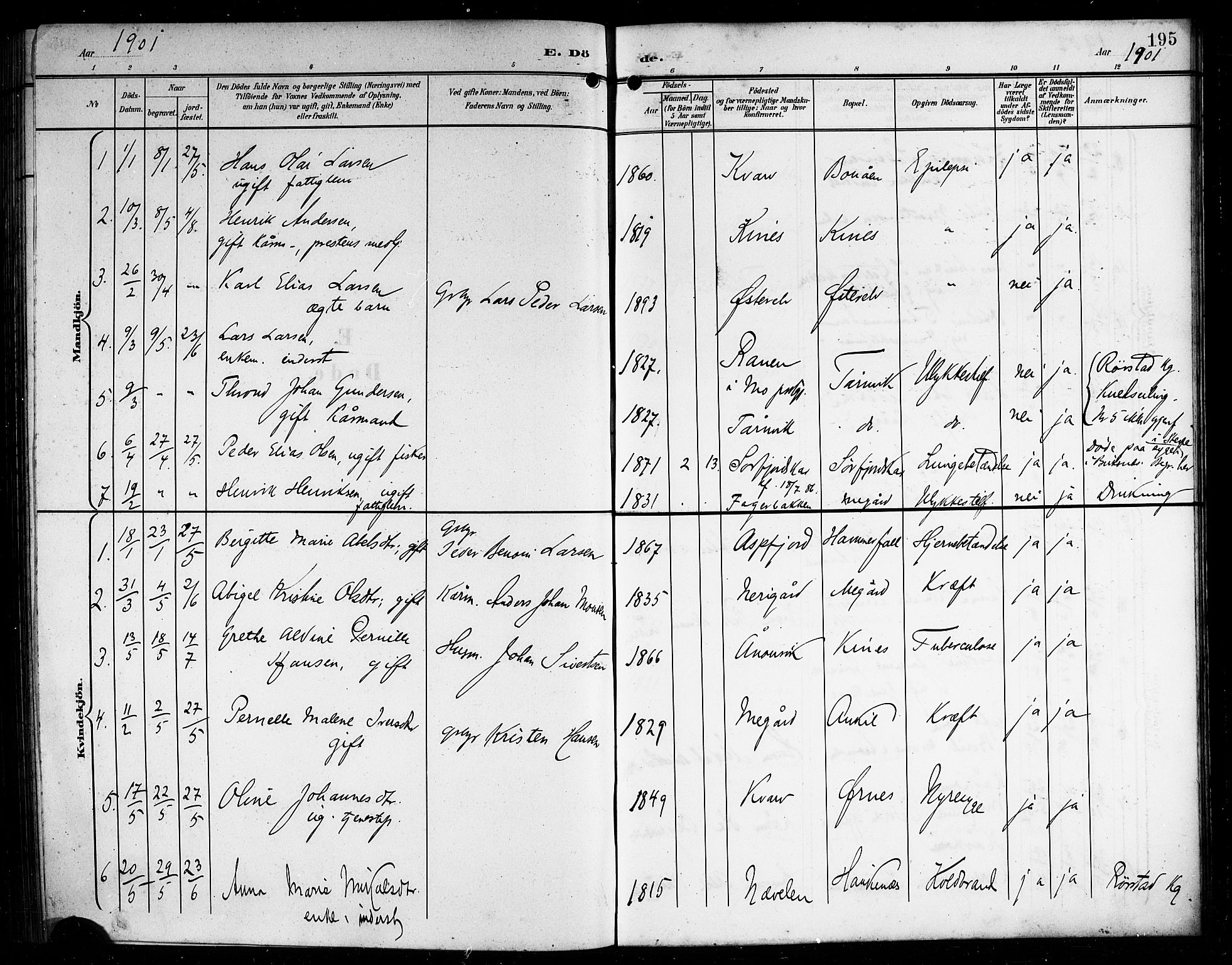 Ministerialprotokoller, klokkerbøker og fødselsregistre - Nordland, AV/SAT-A-1459/854/L0786: Parish register (copy) no. 854C02, 1901-1912, p. 195