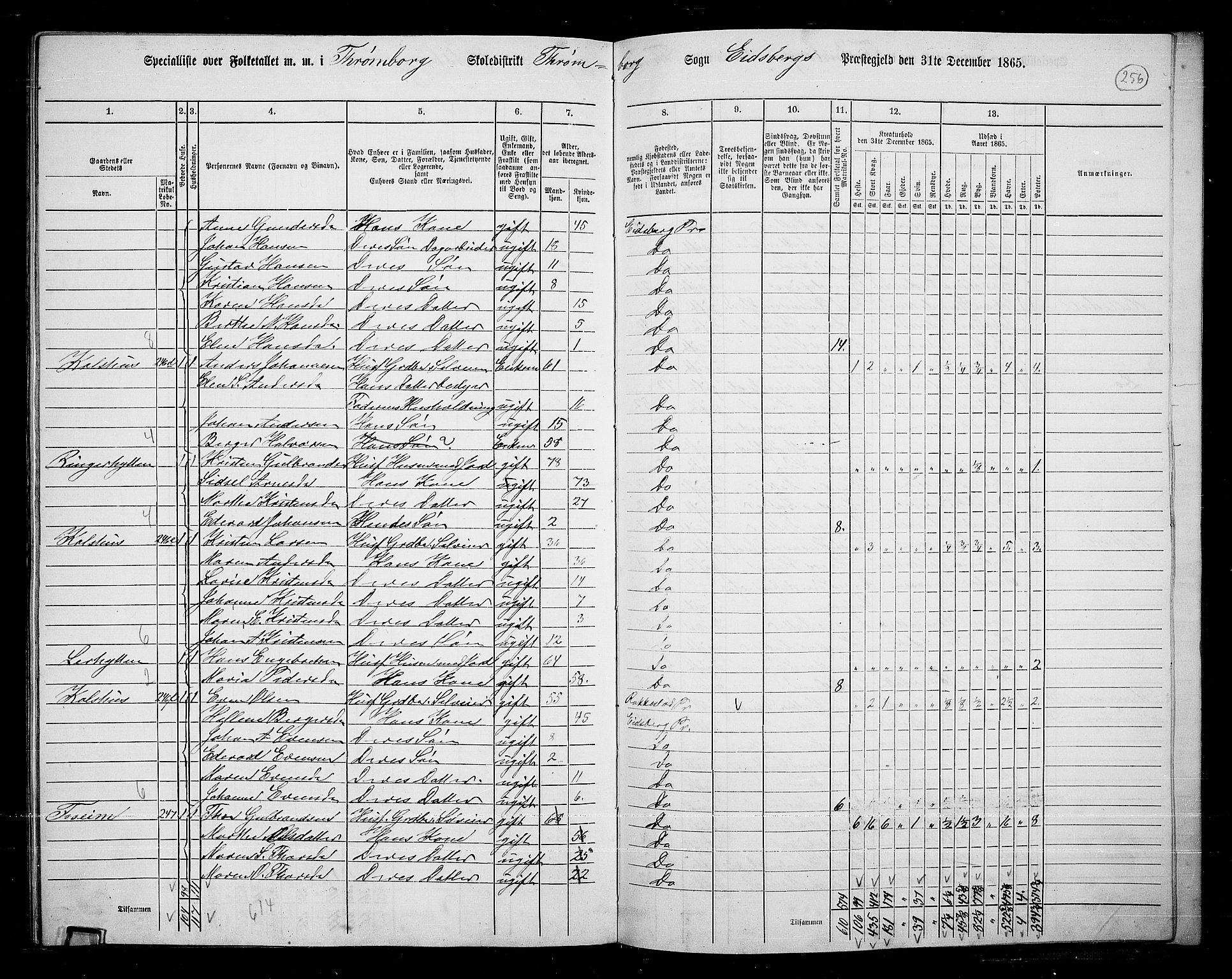 RA, 1865 census for Eidsberg, 1865, p. 233