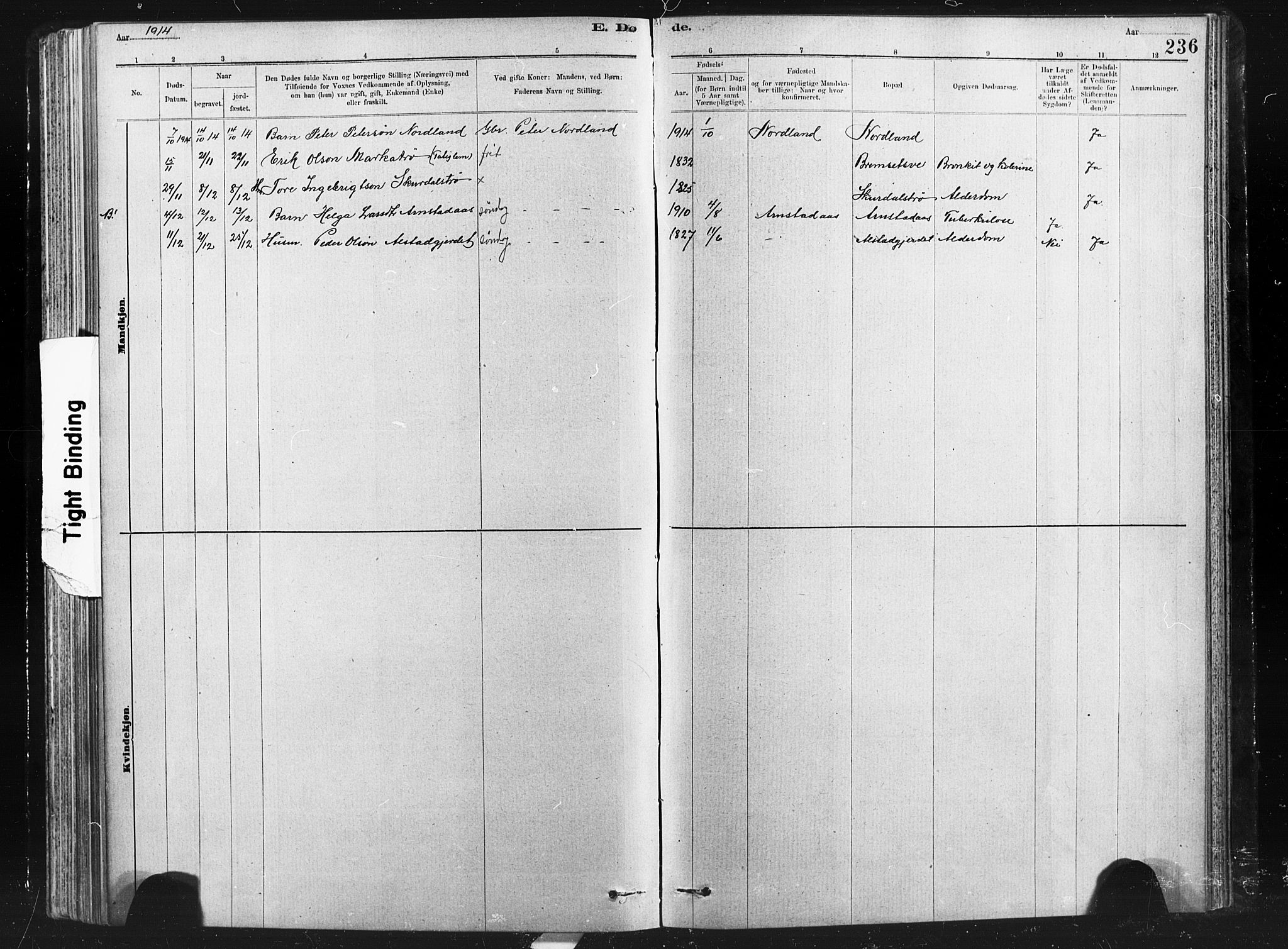 Ministerialprotokoller, klokkerbøker og fødselsregistre - Nord-Trøndelag, SAT/A-1458/712/L0103: Parish register (copy) no. 712C01, 1878-1917, p. 236