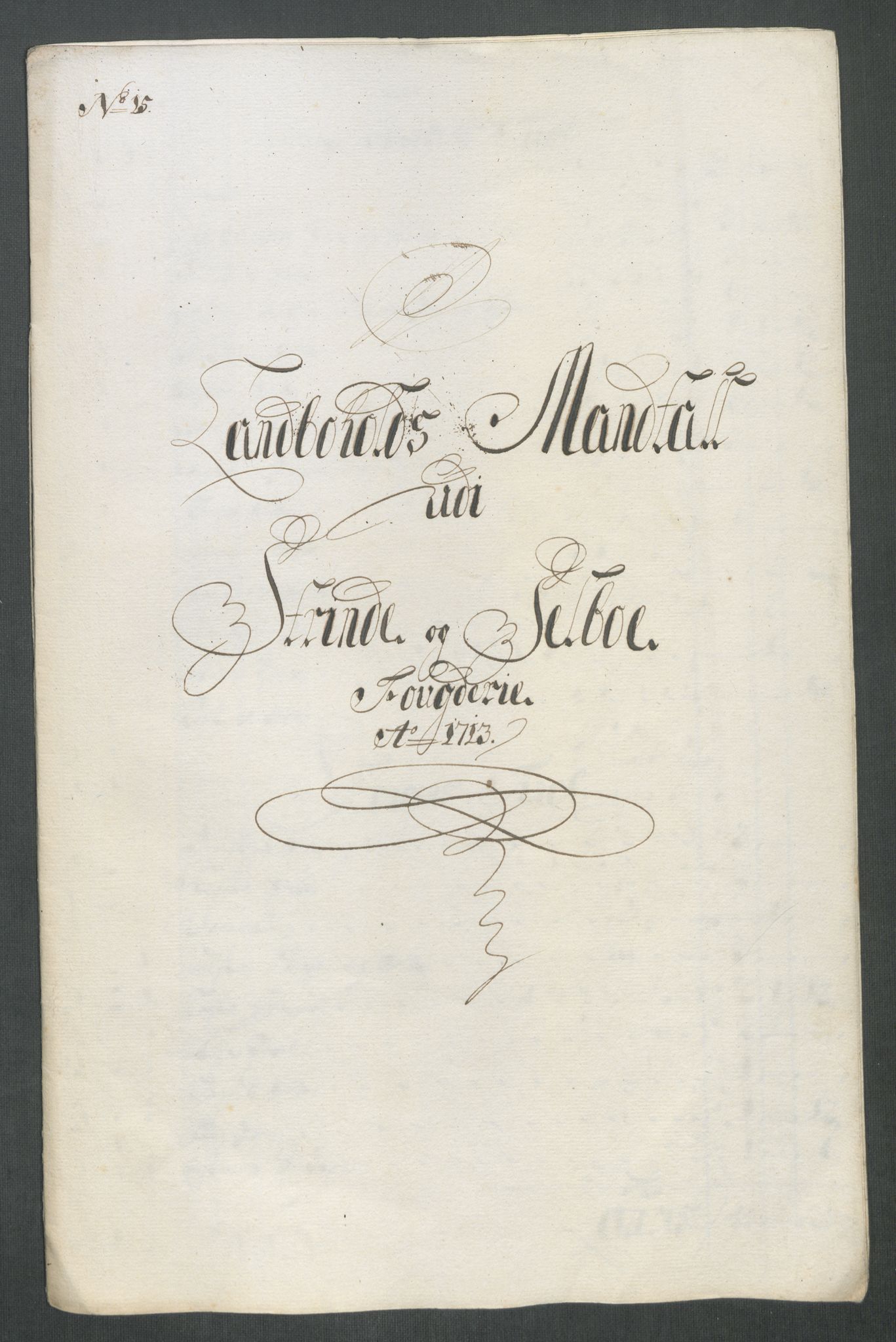 Rentekammeret inntil 1814, Reviderte regnskaper, Fogderegnskap, RA/EA-4092/R61/L4113: Fogderegnskap Strinda og Selbu, 1712-1713, p. 434
