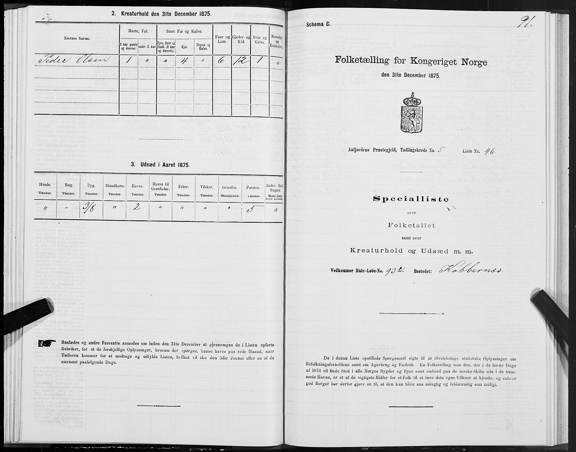 SAT, 1875 census for 1630P Aafjorden, 1875, p. 3091