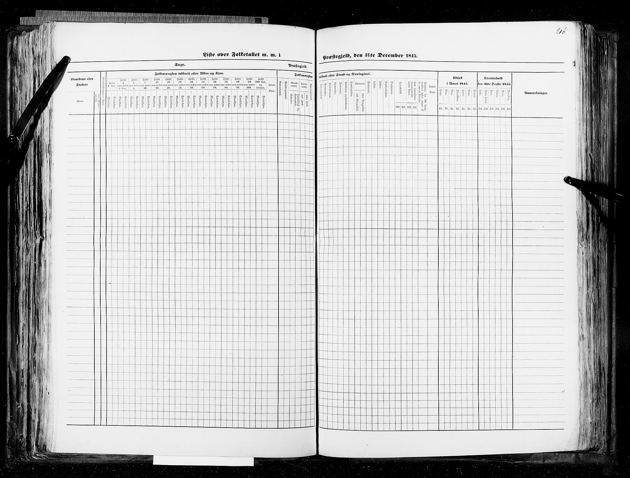 RA, Census 1845, vol. 5: Bratsberg amt og Nedenes og Råbyggelaget amt, 1845, p. 206