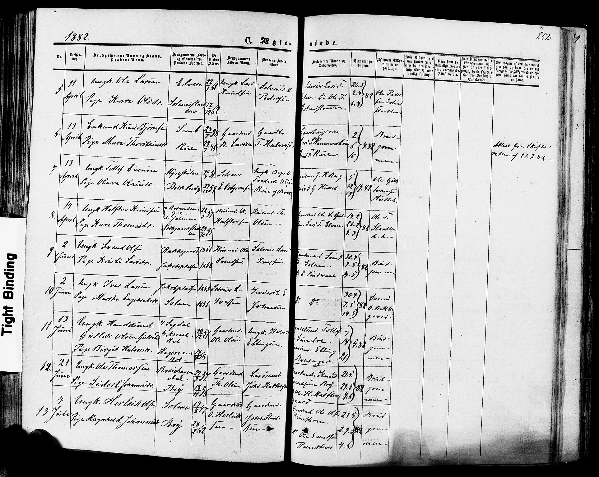 Hol kirkebøker, AV/SAKO-A-227/F/Fa/L0002: Parish register (official) no. I 2, 1870-1886, p. 252