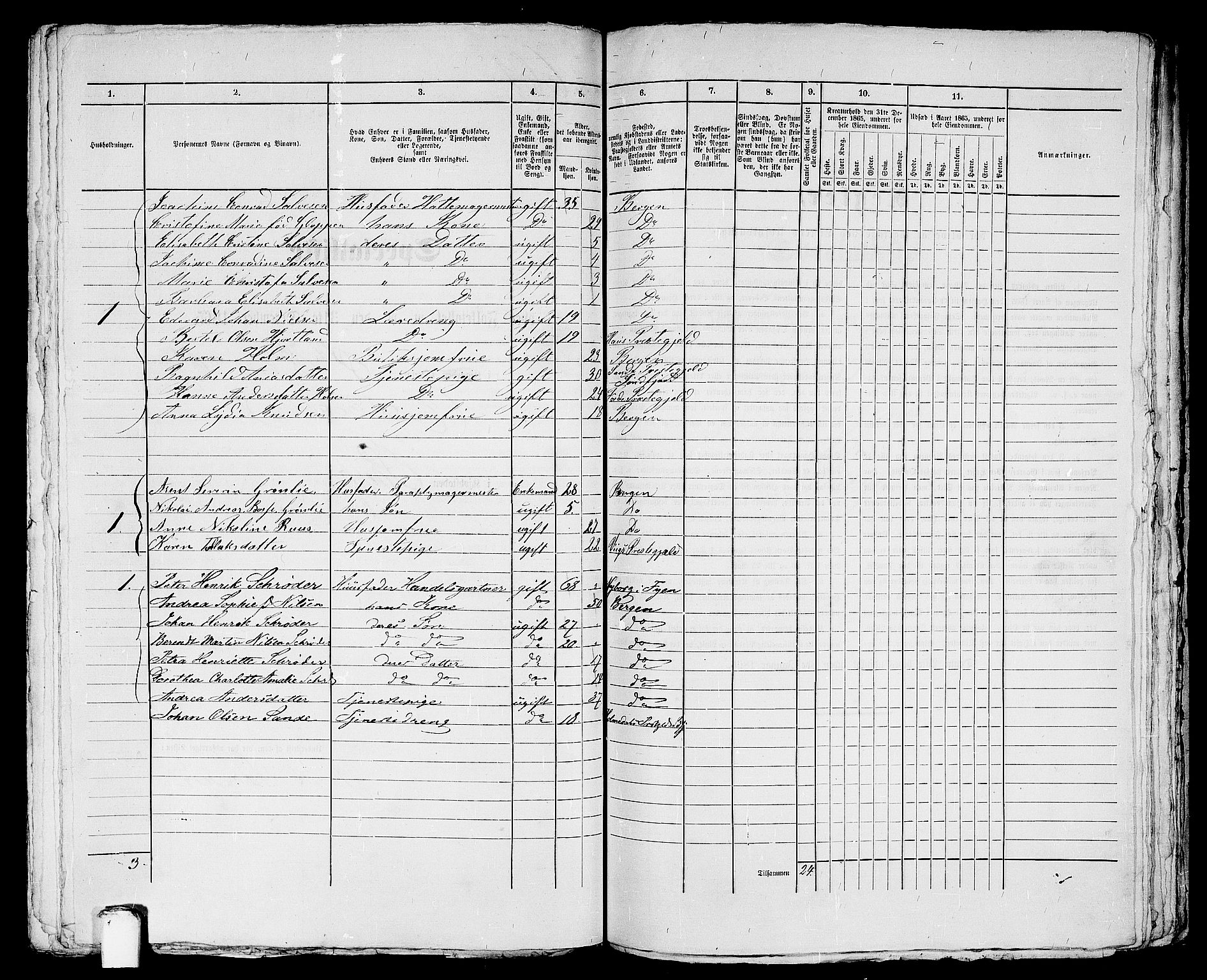 RA, 1865 census for Bergen, 1865, p. 1380