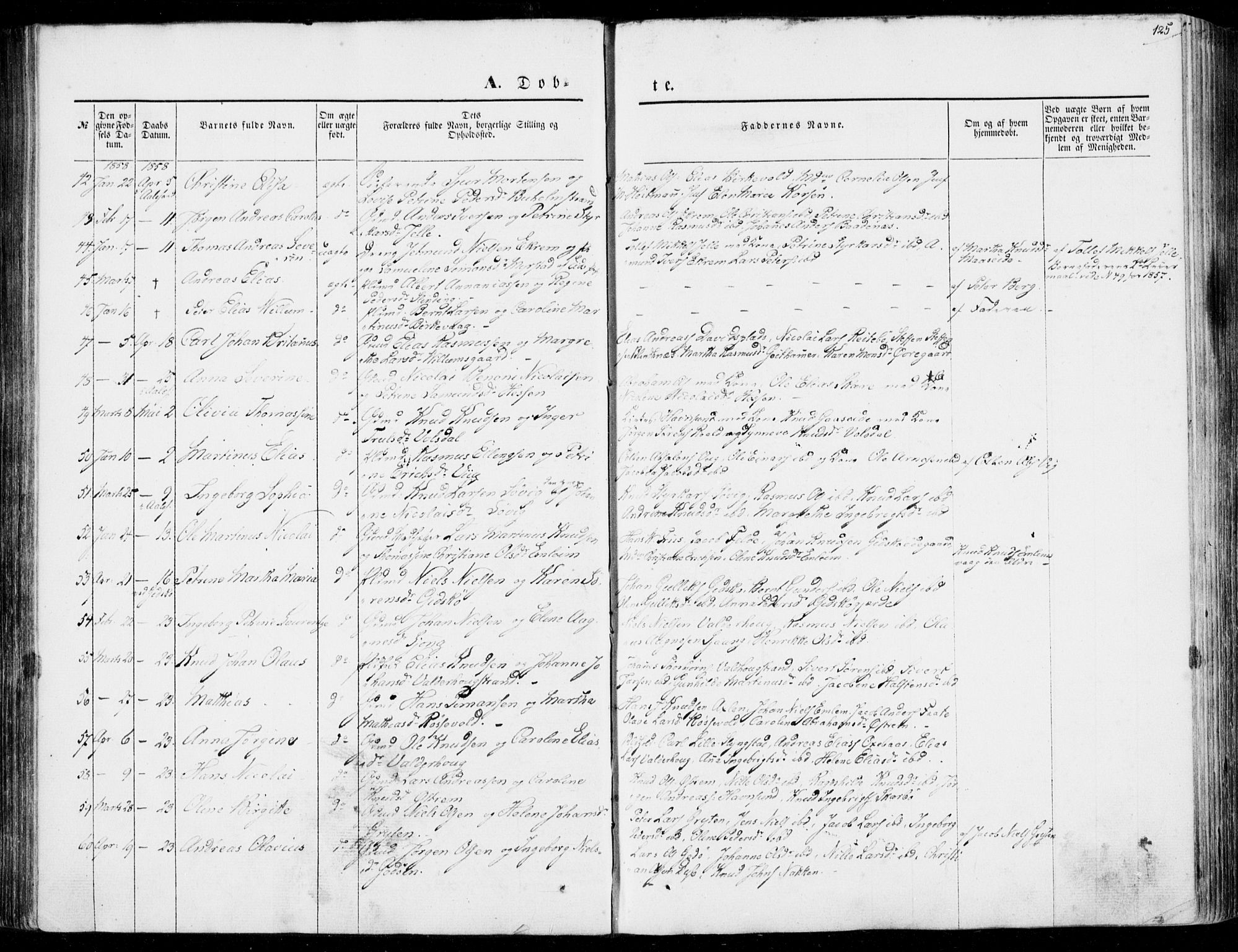 Ministerialprotokoller, klokkerbøker og fødselsregistre - Møre og Romsdal, AV/SAT-A-1454/528/L0397: Parish register (official) no. 528A08, 1848-1858, p. 125