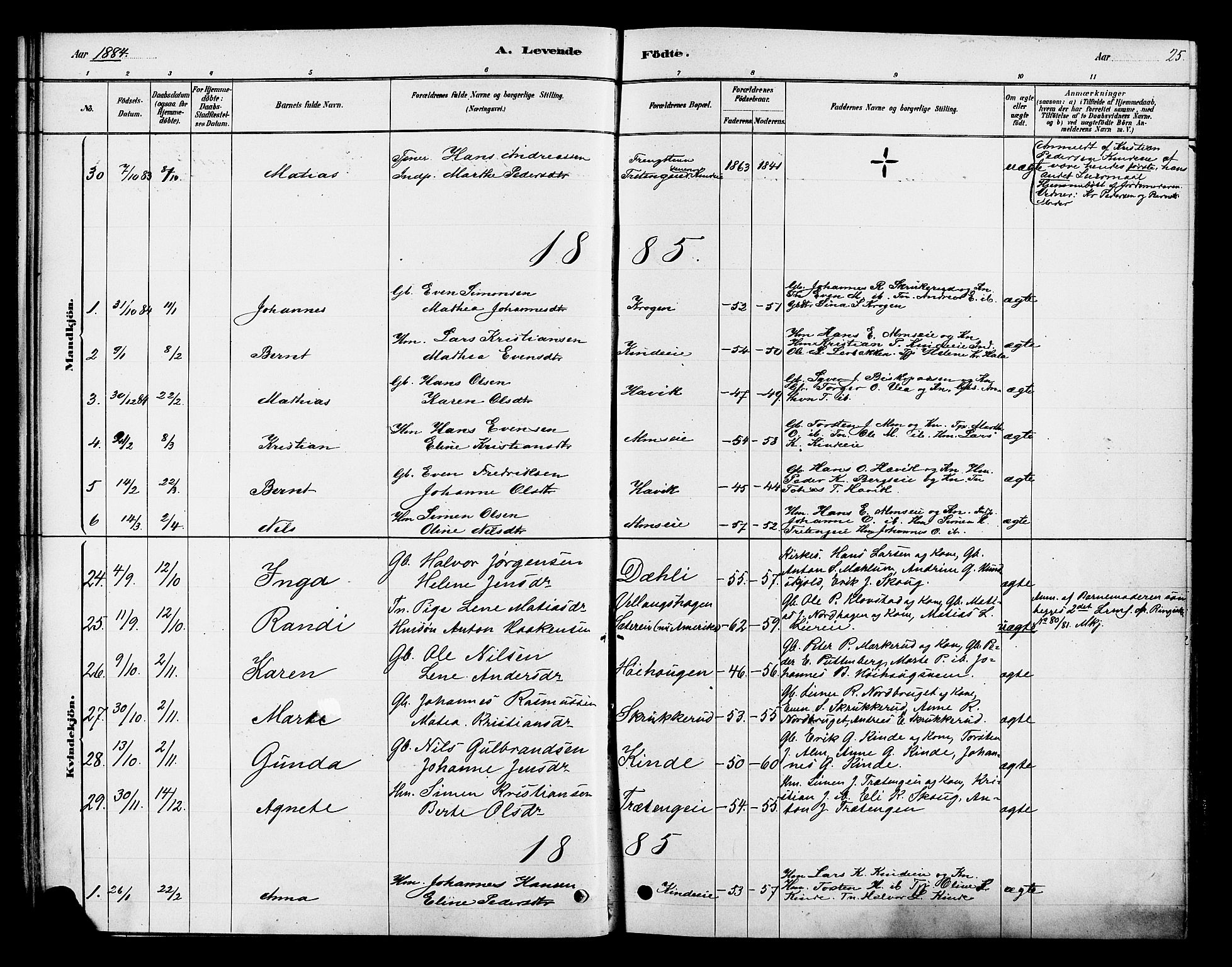 Ringsaker prestekontor, AV/SAH-PREST-014/K/Ka/L0013: Parish register (official) no. 13, 1879-1890, p. 25