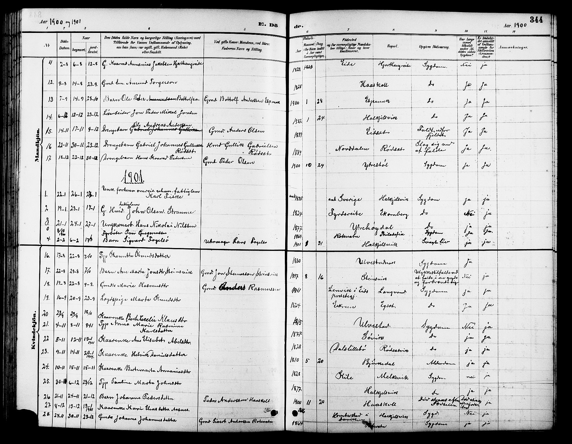 Ministerialprotokoller, klokkerbøker og fødselsregistre - Møre og Romsdal, AV/SAT-A-1454/511/L0158: Parish register (copy) no. 511C04, 1884-1903, p. 344