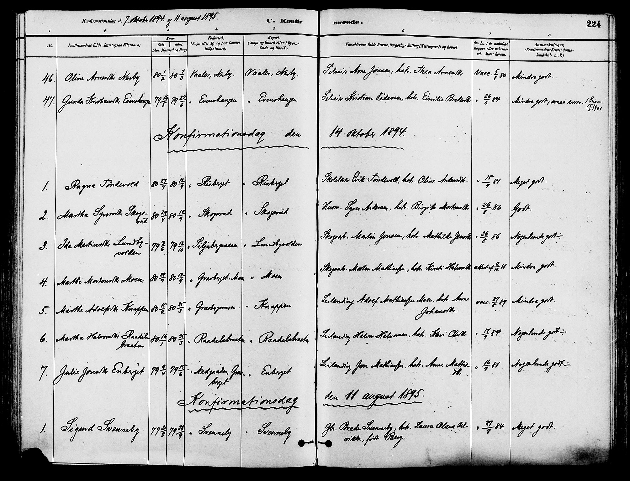 Våler prestekontor, Hedmark, AV/SAH-PREST-040/H/Ha/Haa/L0002: Parish register (official) no. 3, 1879-1911, p. 224