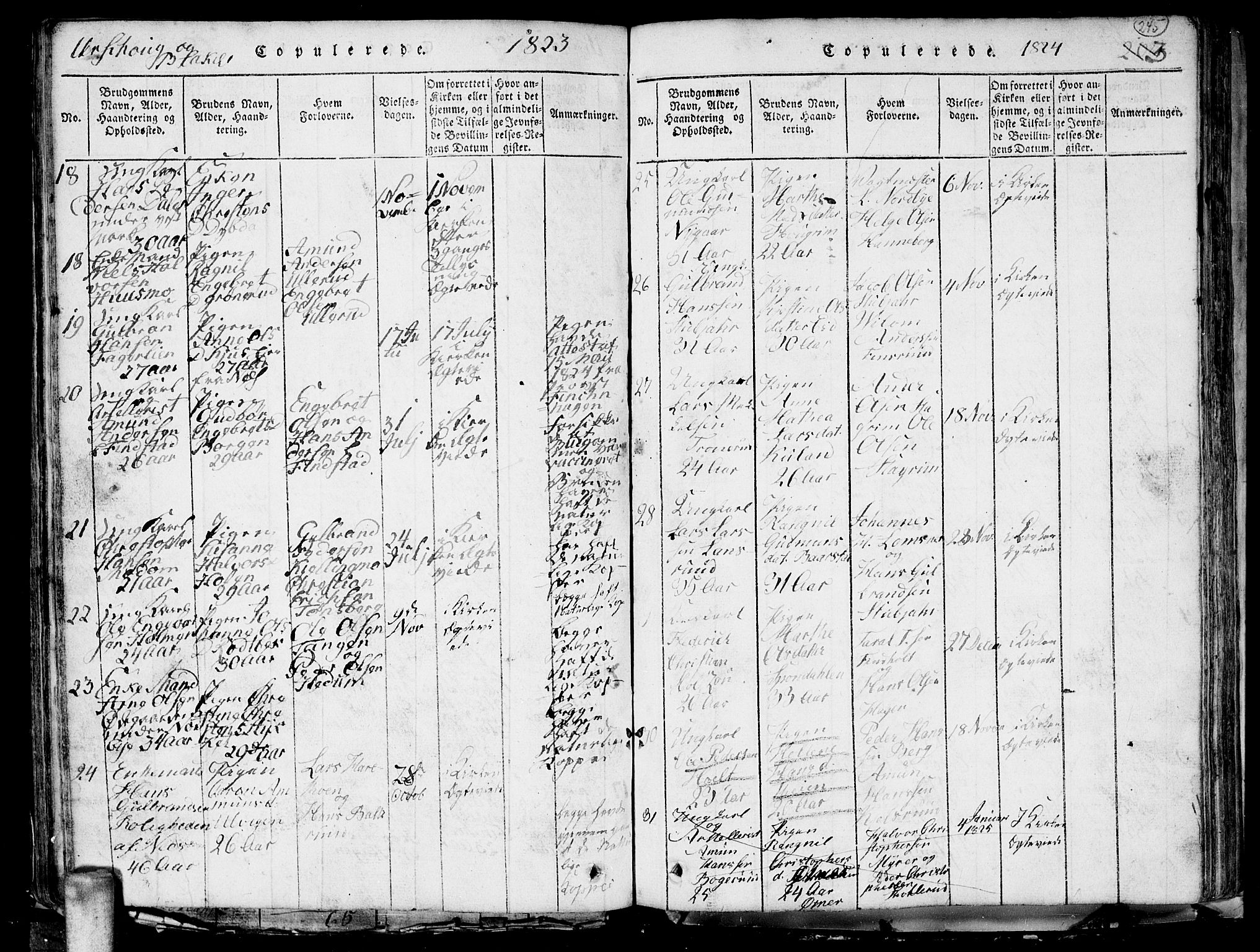 Aurskog prestekontor Kirkebøker, SAO/A-10304a/G/Ga/L0001: Parish register (copy) no. I 1, 1814-1829, p. 245
