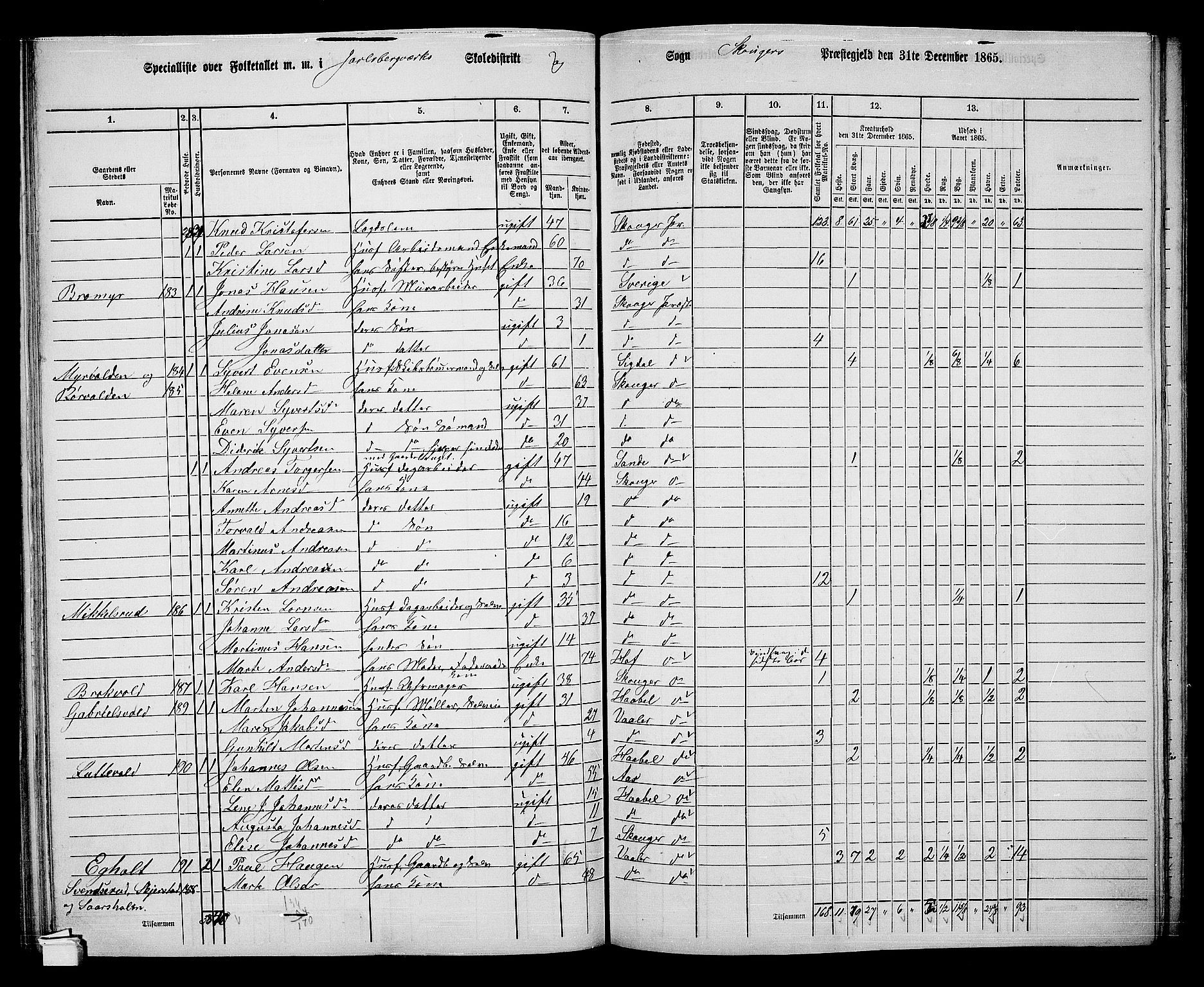 RA, 1865 census for Skoger, 1865, p. 99