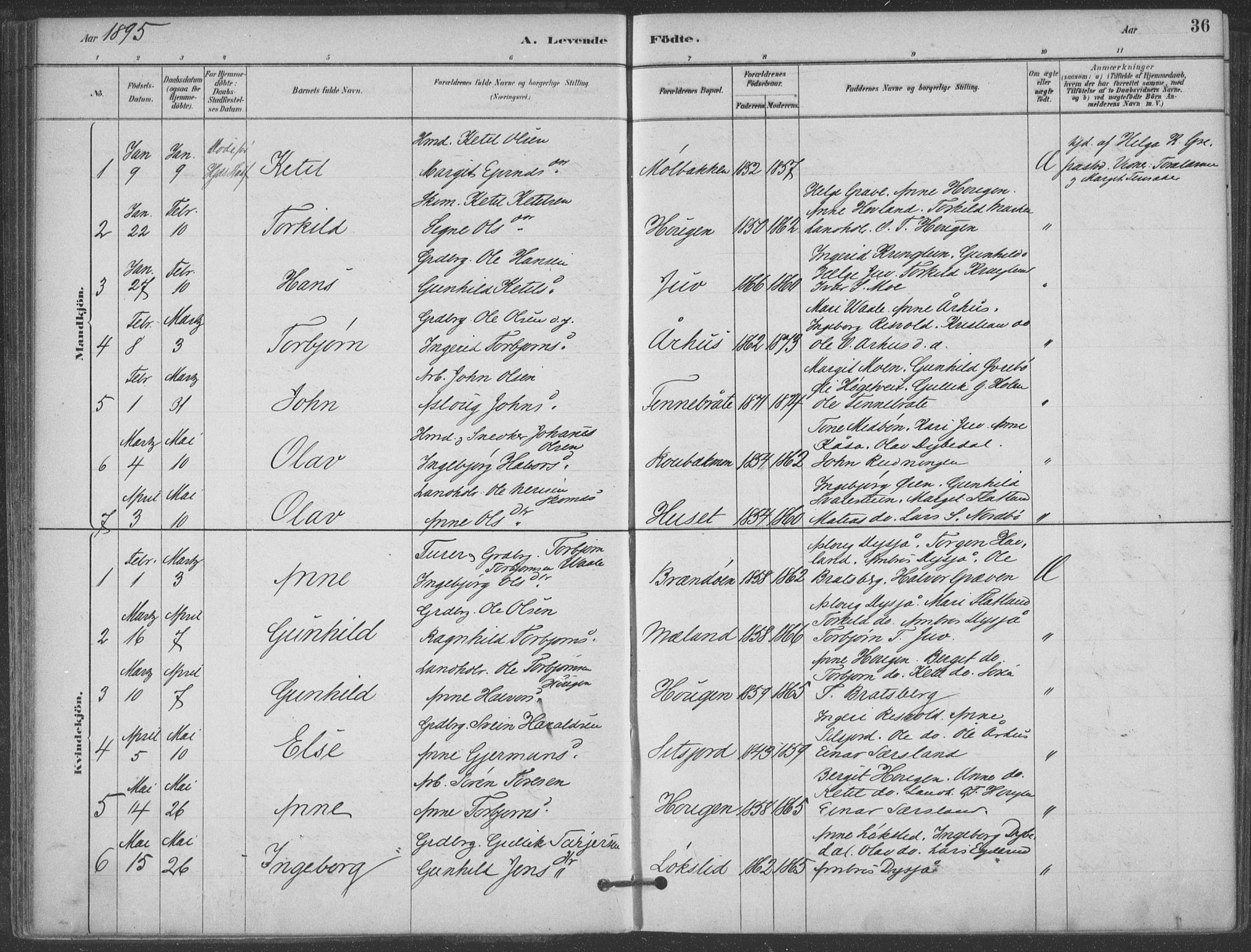 Hjartdal kirkebøker, AV/SAKO-A-270/F/Fa/L0010: Parish register (official) no. I 10, 1880-1929, p. 36