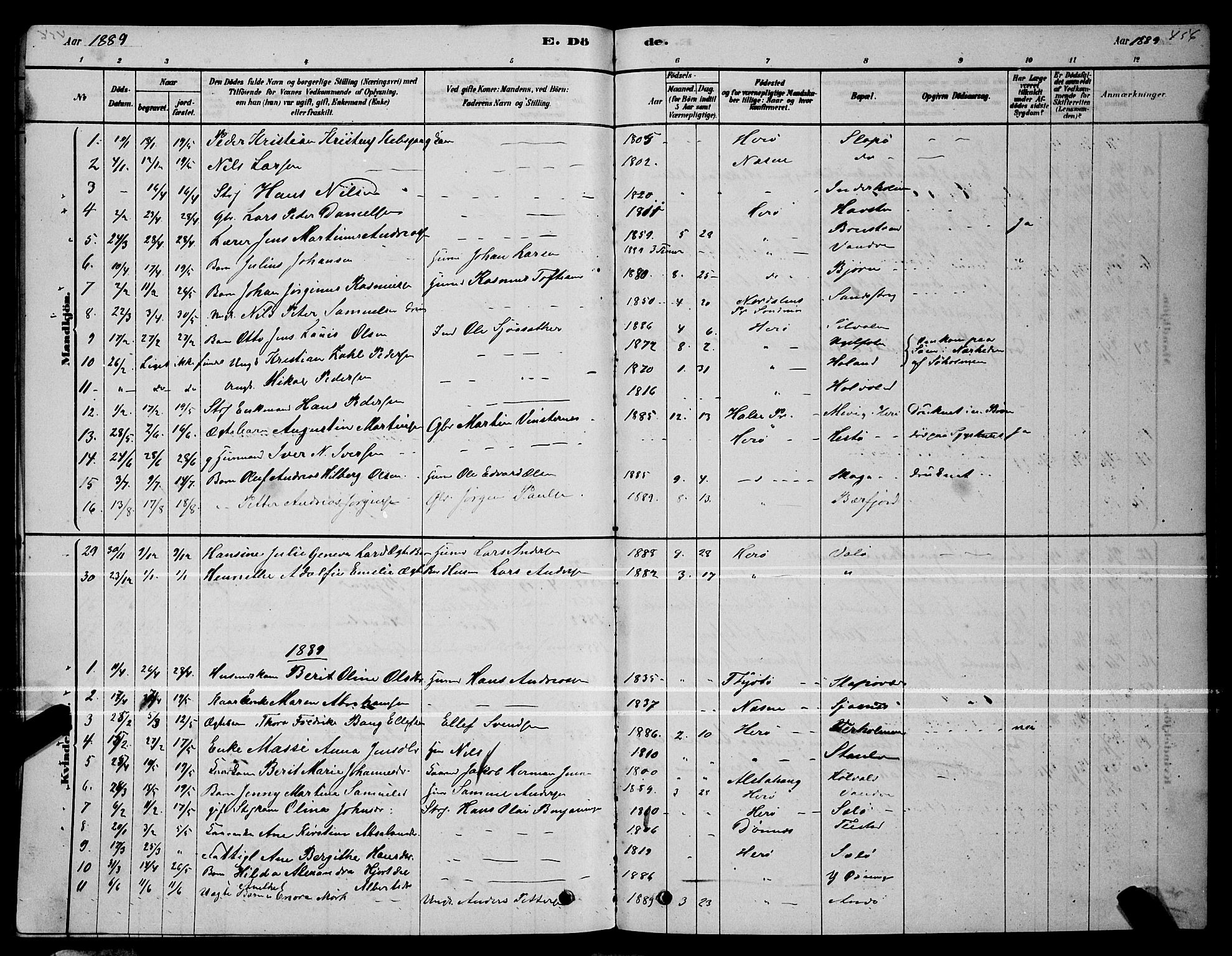 Ministerialprotokoller, klokkerbøker og fødselsregistre - Nordland, AV/SAT-A-1459/834/L0513: Parish register (copy) no. 834C04, 1877-1892, p. 456