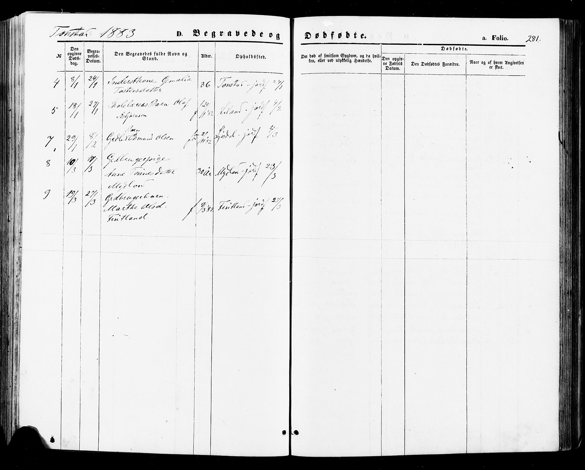 Sirdal sokneprestkontor, AV/SAK-1111-0036/F/Fa/Fab/L0003: Parish register (official) no. A 3, 1874-1886, p. 281