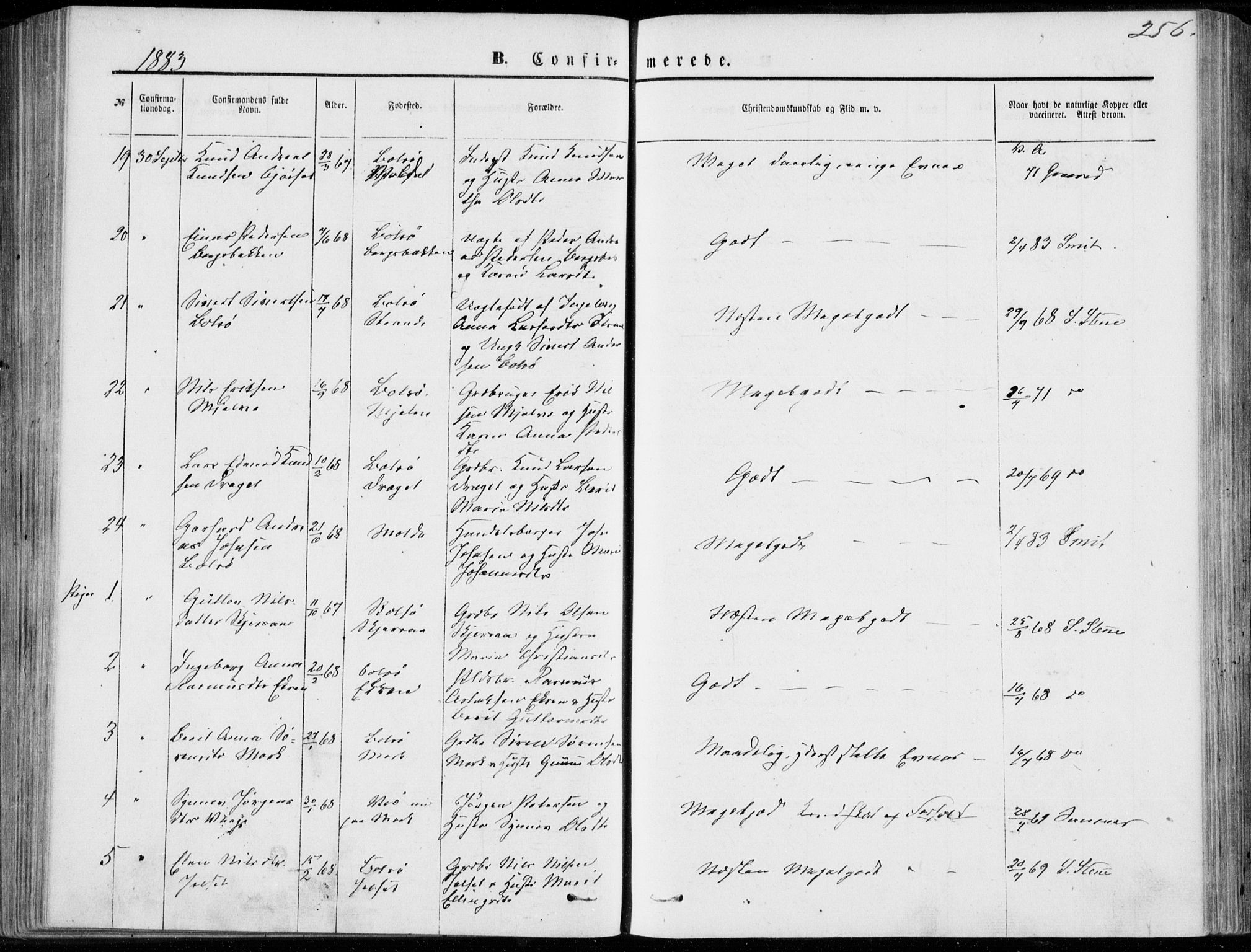 Ministerialprotokoller, klokkerbøker og fødselsregistre - Møre og Romsdal, AV/SAT-A-1454/555/L0655: Parish register (official) no. 555A05, 1869-1886, p. 256