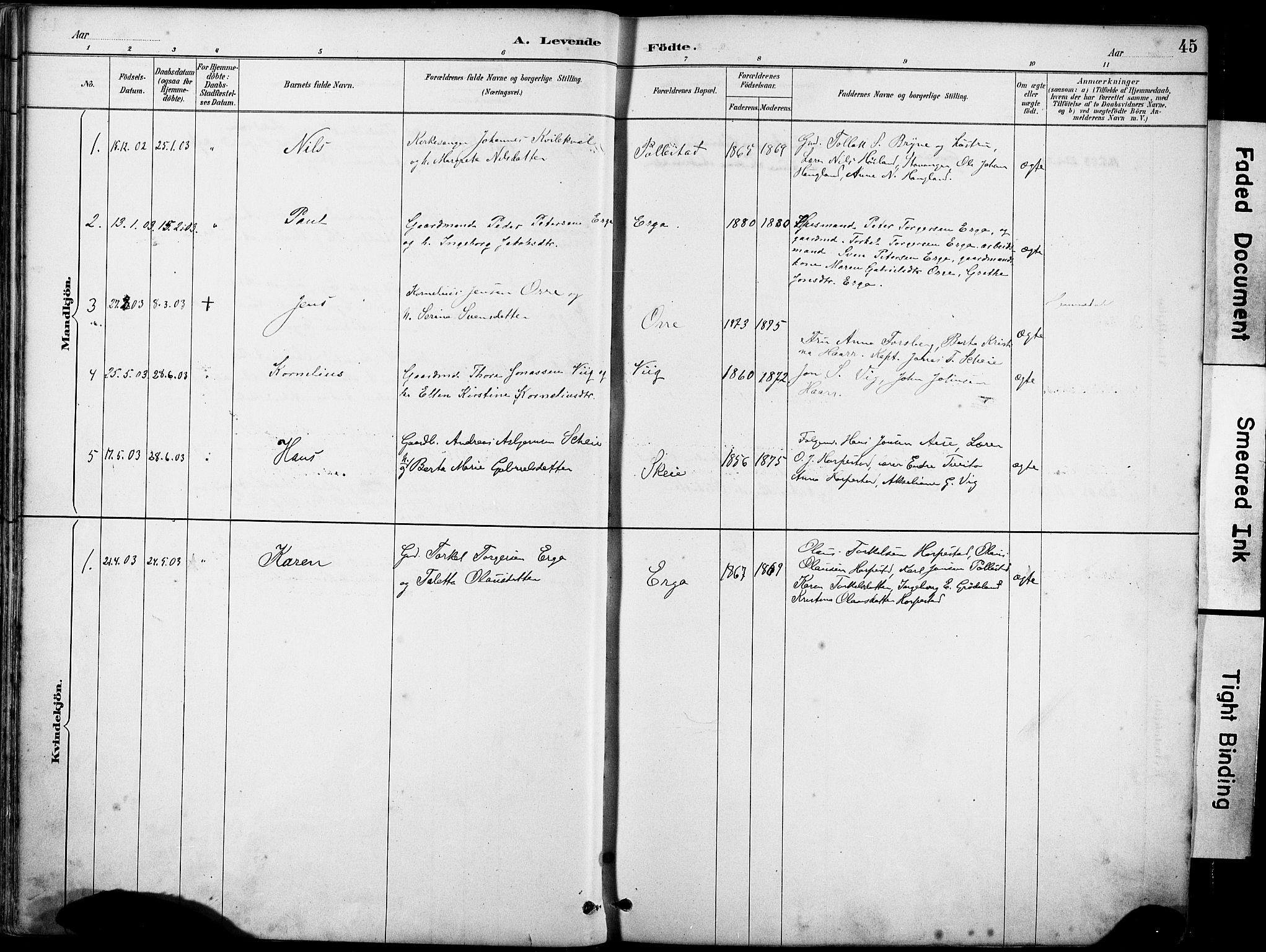 Klepp sokneprestkontor, AV/SAST-A-101803/001/3/30BA/L0007: Parish register (official) no. A 8, 1886-1912, p. 45