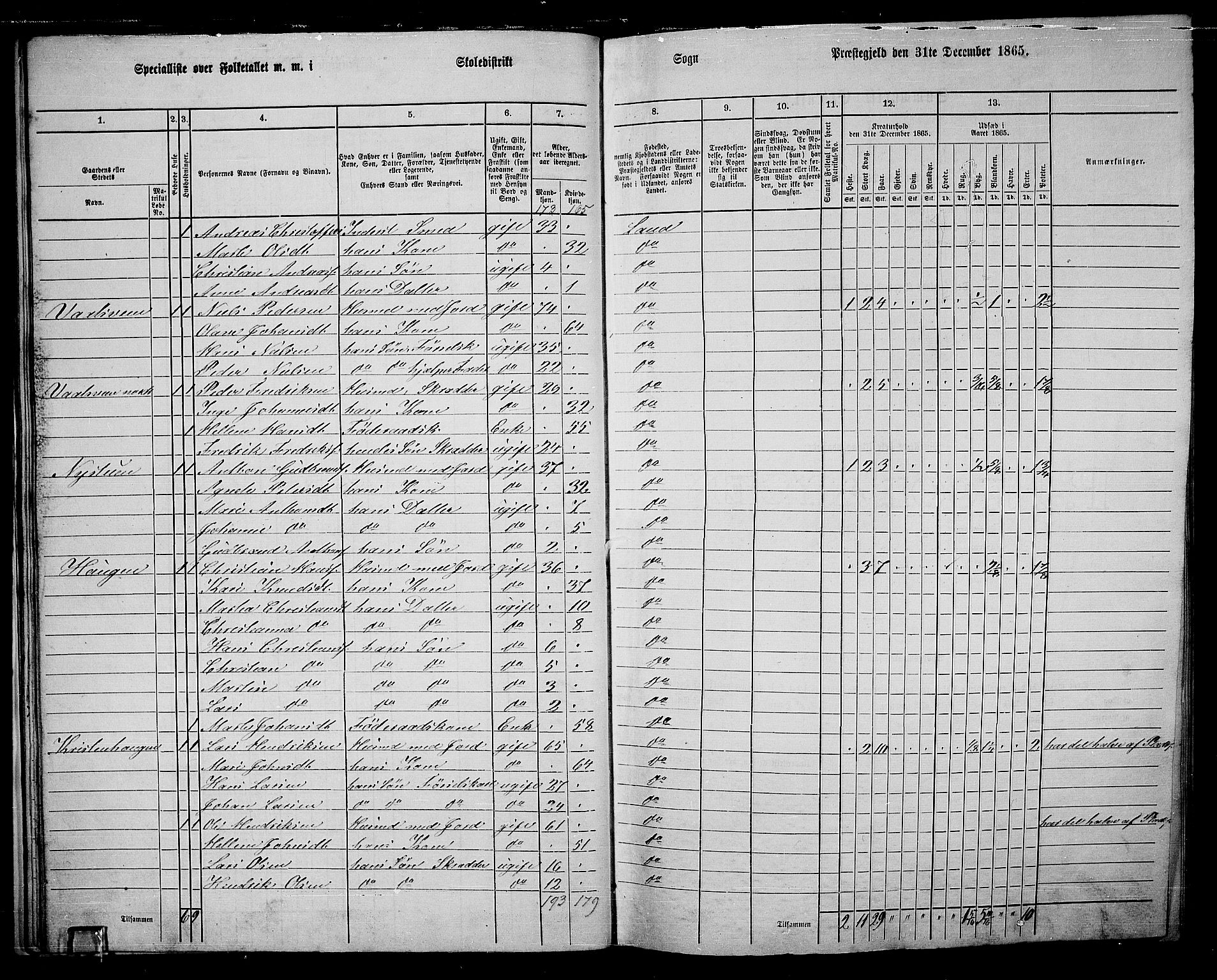 RA, 1865 census for Land, 1865, p. 241