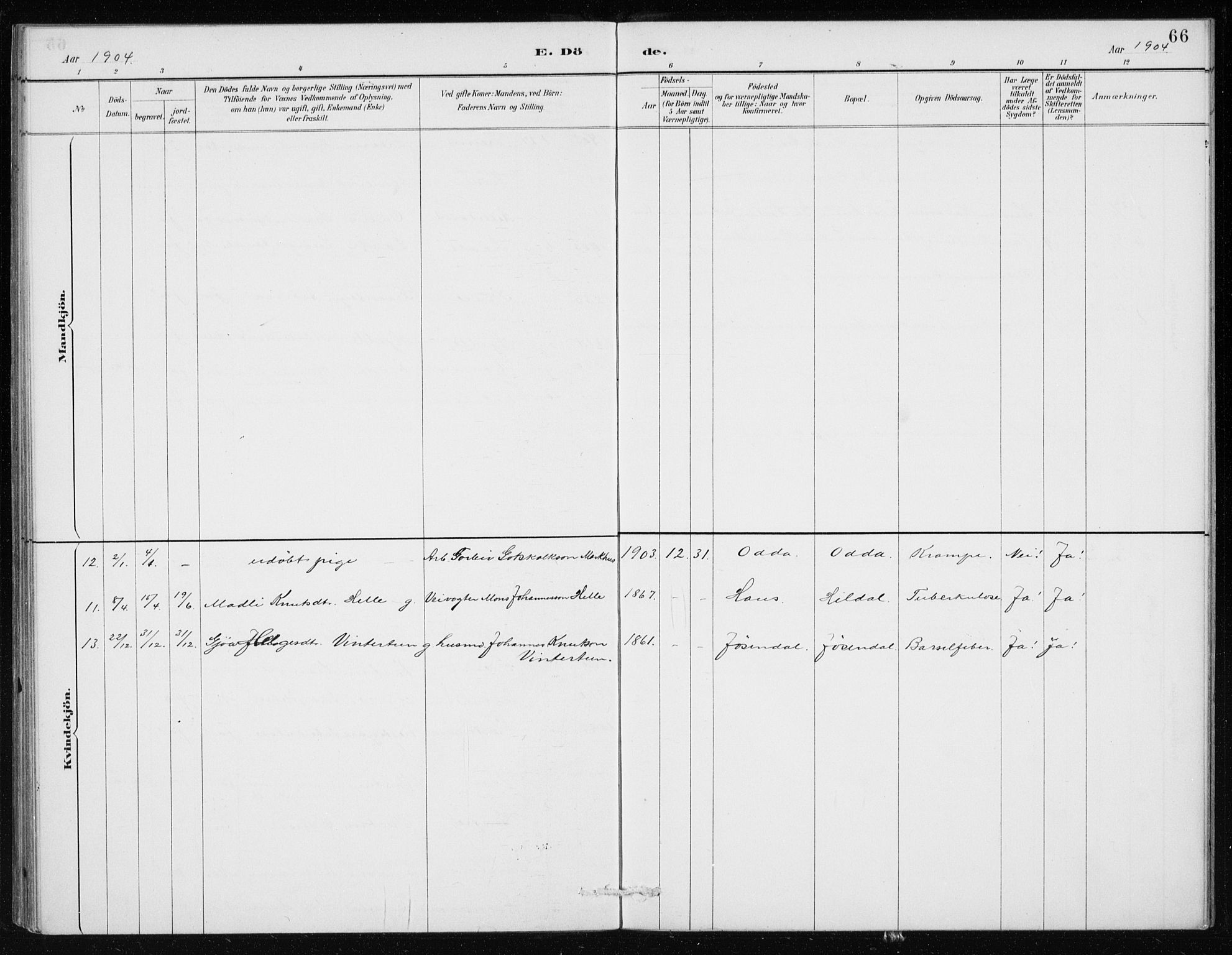 Odda Sokneprestembete, SAB/A-77201/H/Haa: Parish register (official) no. D 1, 1887-1914, p. 66